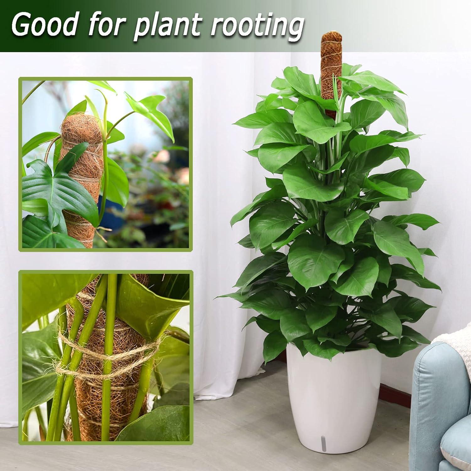 Postes de Musgo Flexibles Soupiar 2 Unidades 71 cm para Plantas