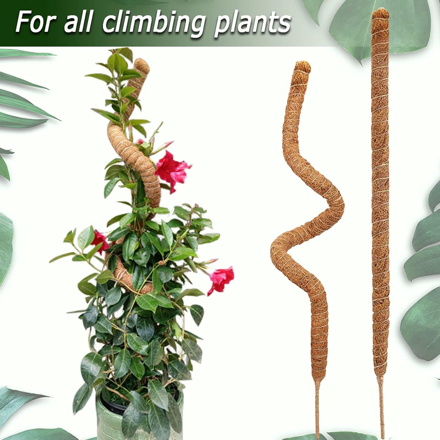 Postes de Musgo Flexibles Soupiar 2 Unidades 71 cm para Plantas