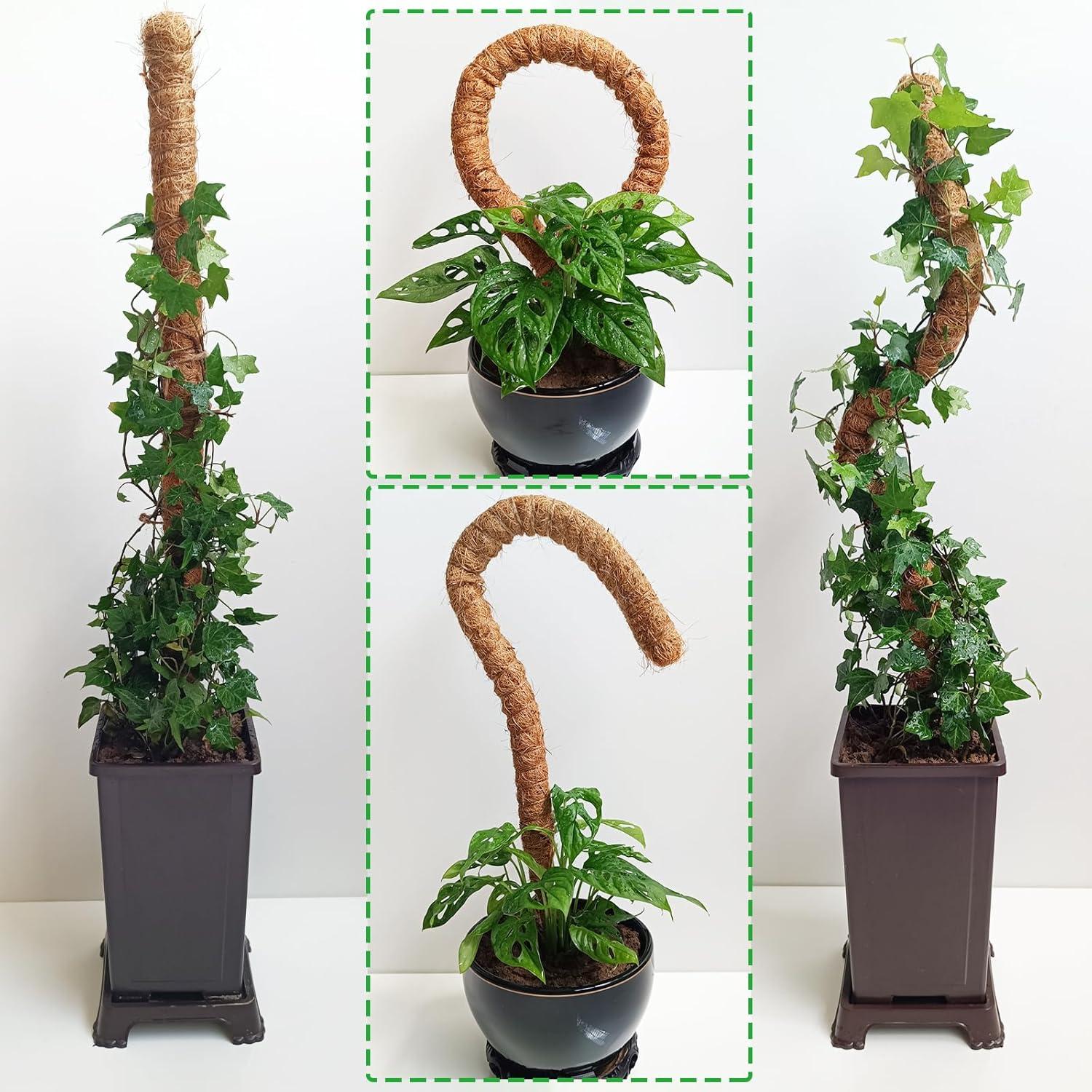 Postes de Musgo Flexibles Soupiar 2 Unidades 71 cm para Plantas
