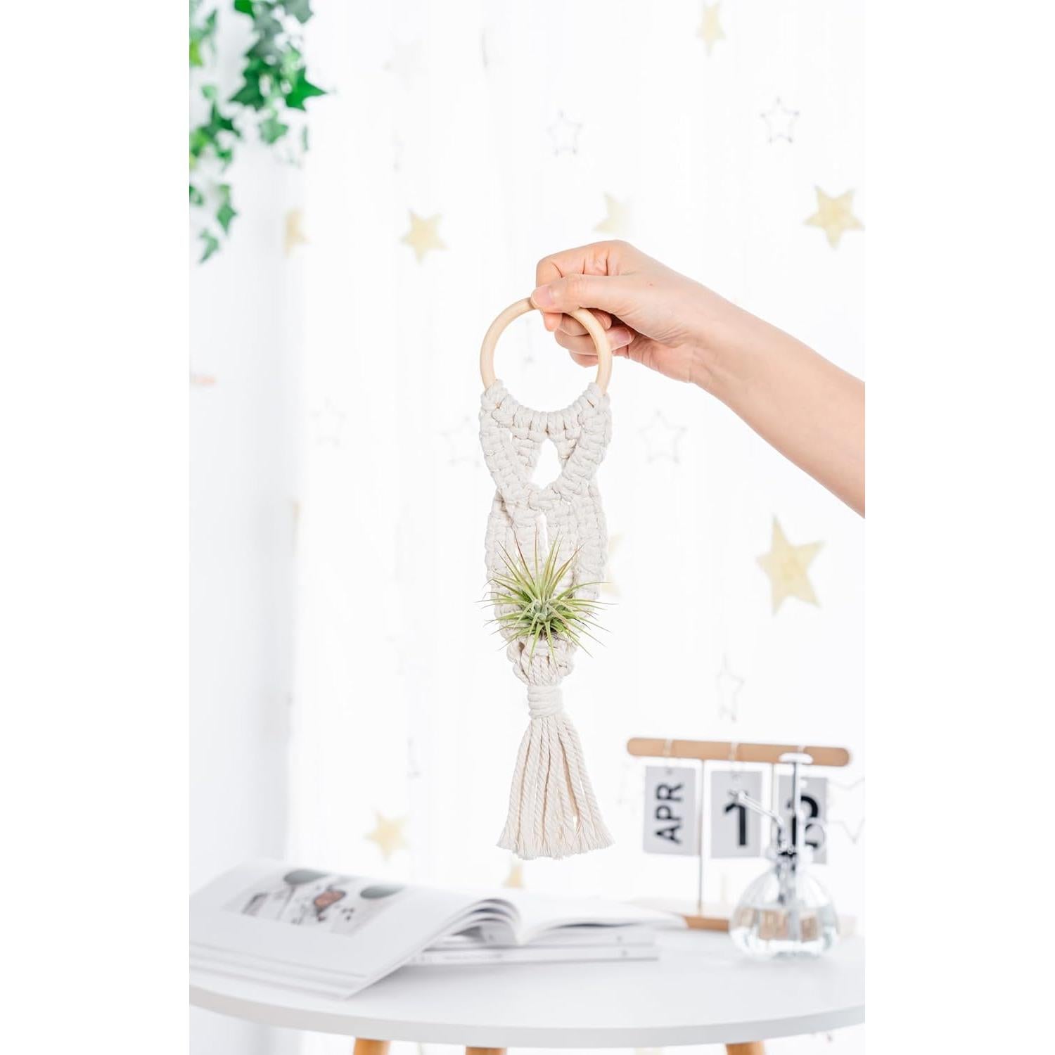 Soporte Colgante para Plantas de Aire Melphoe 4 Piezas Macrame