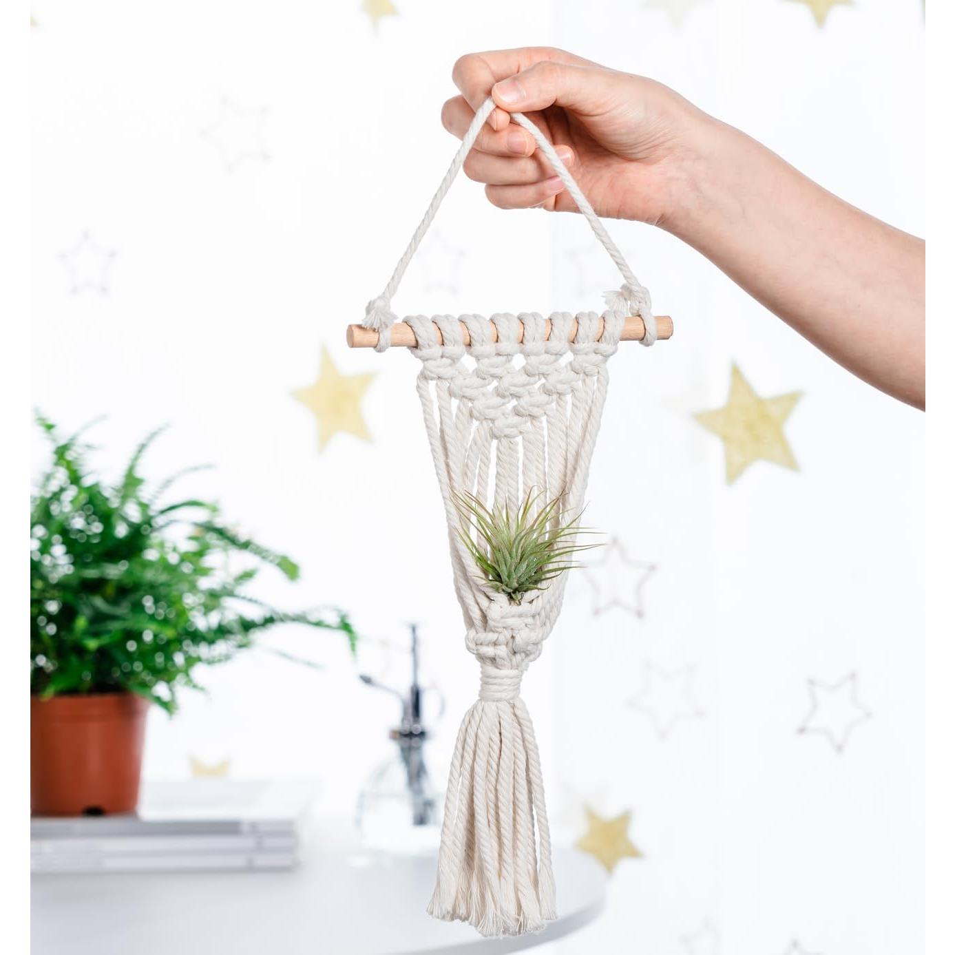 Soporte Colgante para Plantas de Aire Melphoe 4 Piezas Macrame