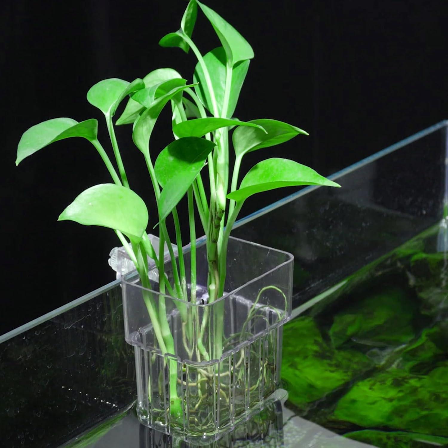 Soporte para Plantas de Acuario SLSON - 2 Macetas Colgantes Transparentes