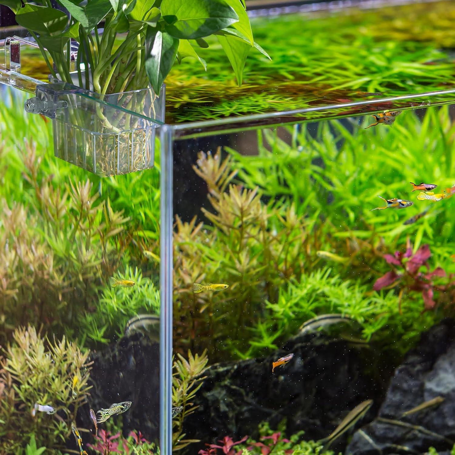 Soporte para Plantas de Acuario SLSON - 2 Macetas Colgantes Transparentes