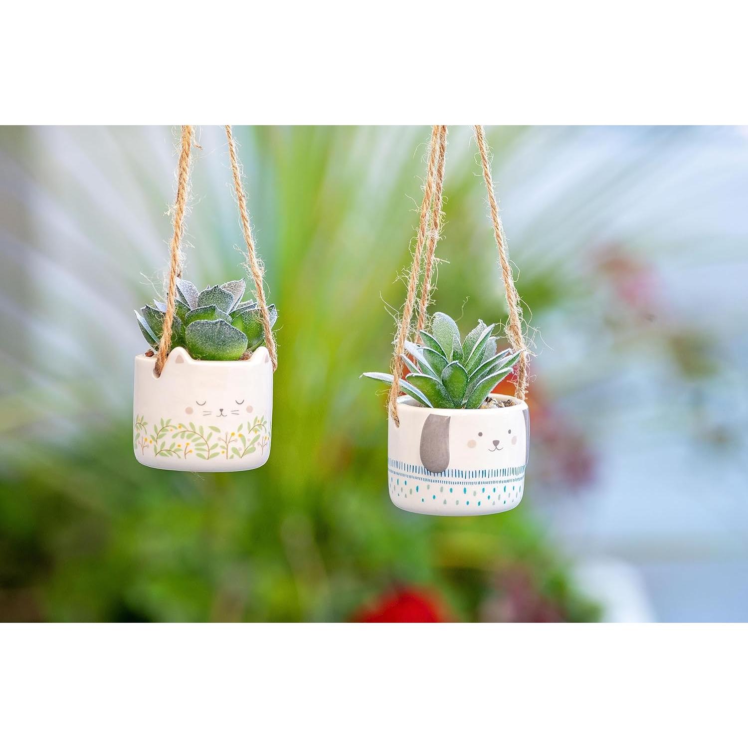 Maceta Colgante Karma de Cerámica para Suculentas 5.08cm