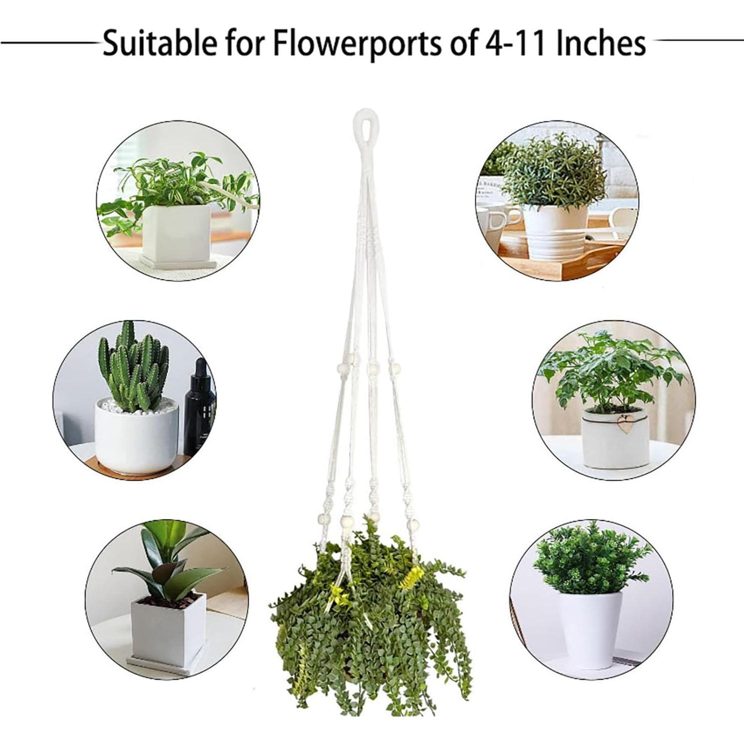 Soportes para Plantas Beongfc - 2 Piezas Colgantes 74.93 cm y 59.69 cm