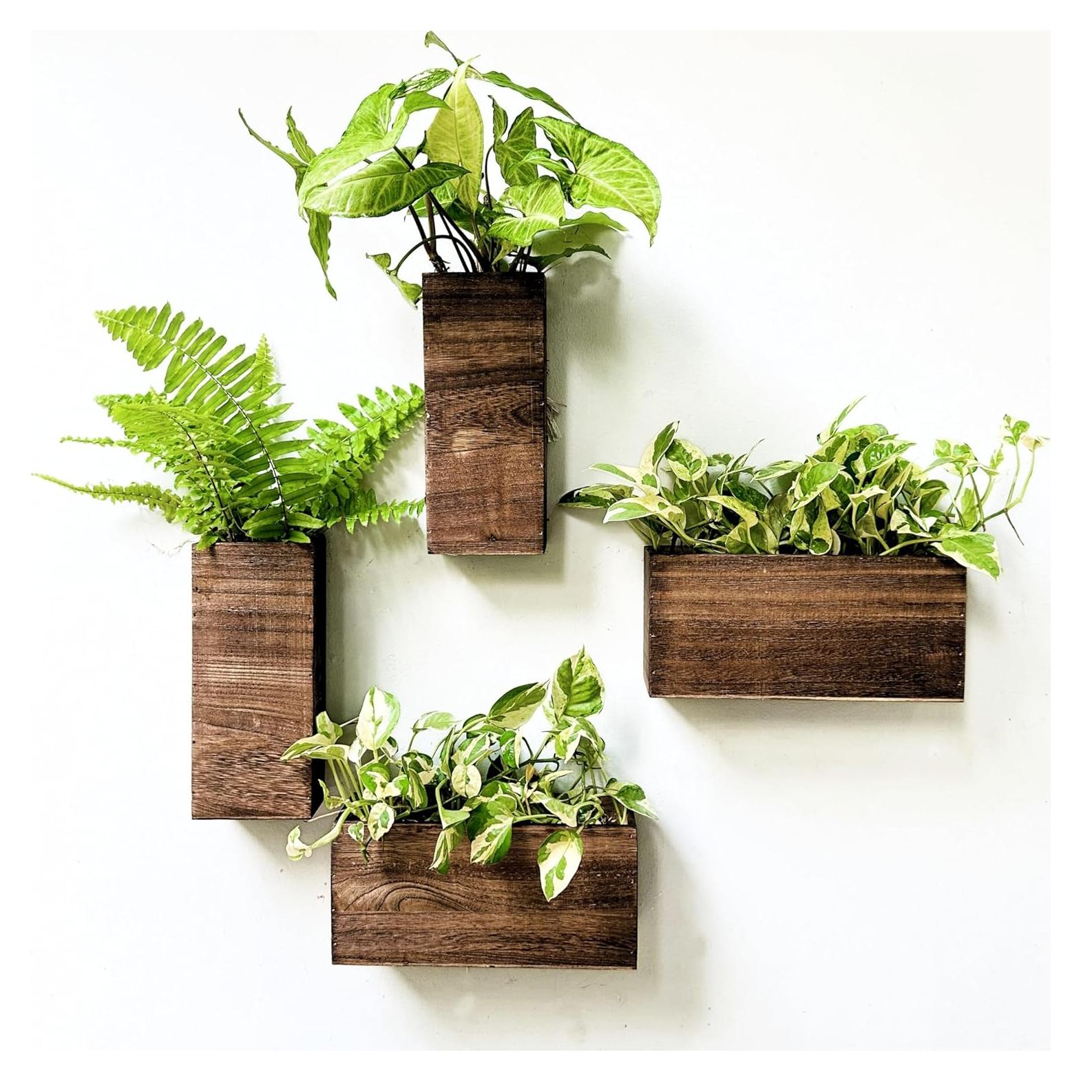 Macetas de Madera LaLaGreen Set de 4 Piezas para Pared