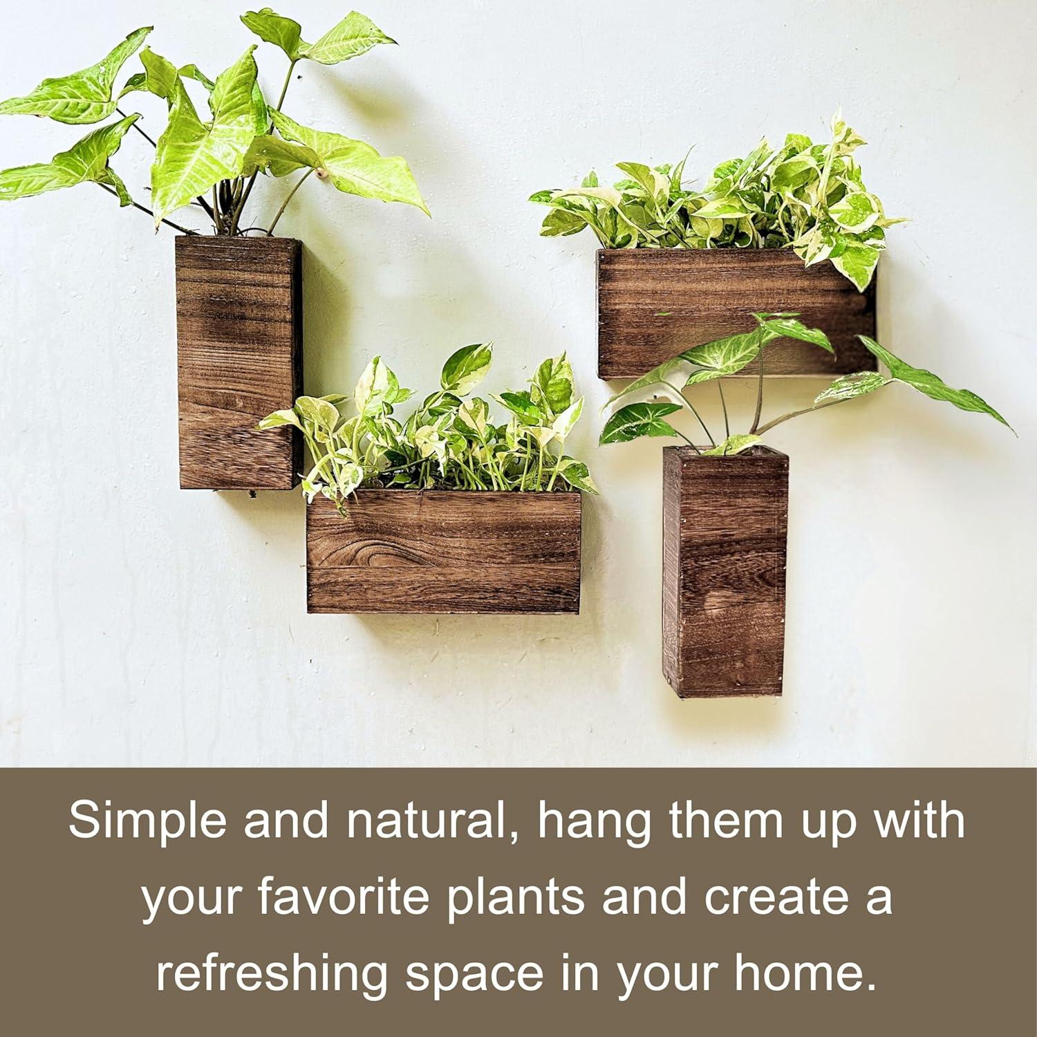 Macetas de Madera LaLaGreen Set de 4 Piezas para Pared