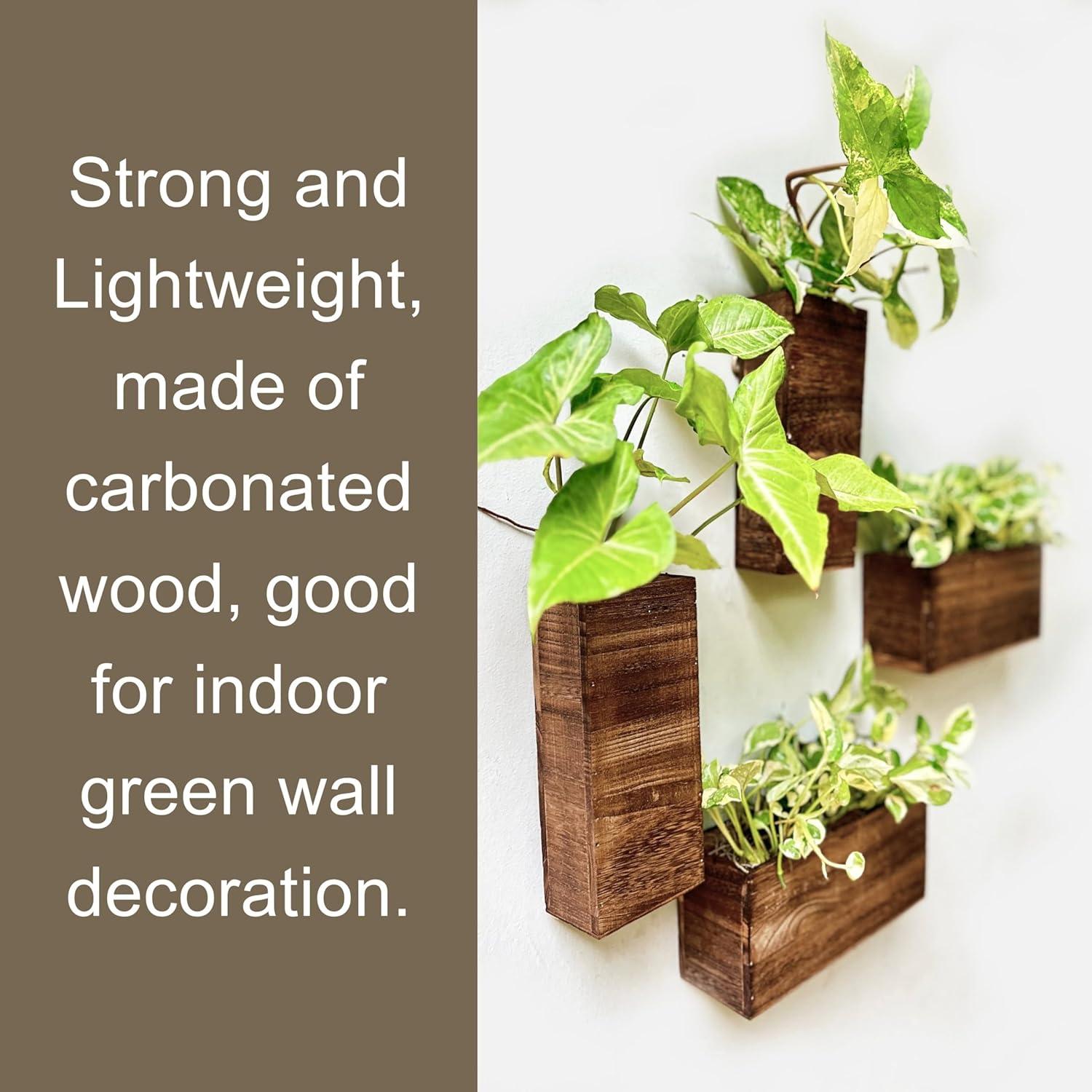 Macetas de Madera LaLaGreen Set de 4 Piezas para Pared