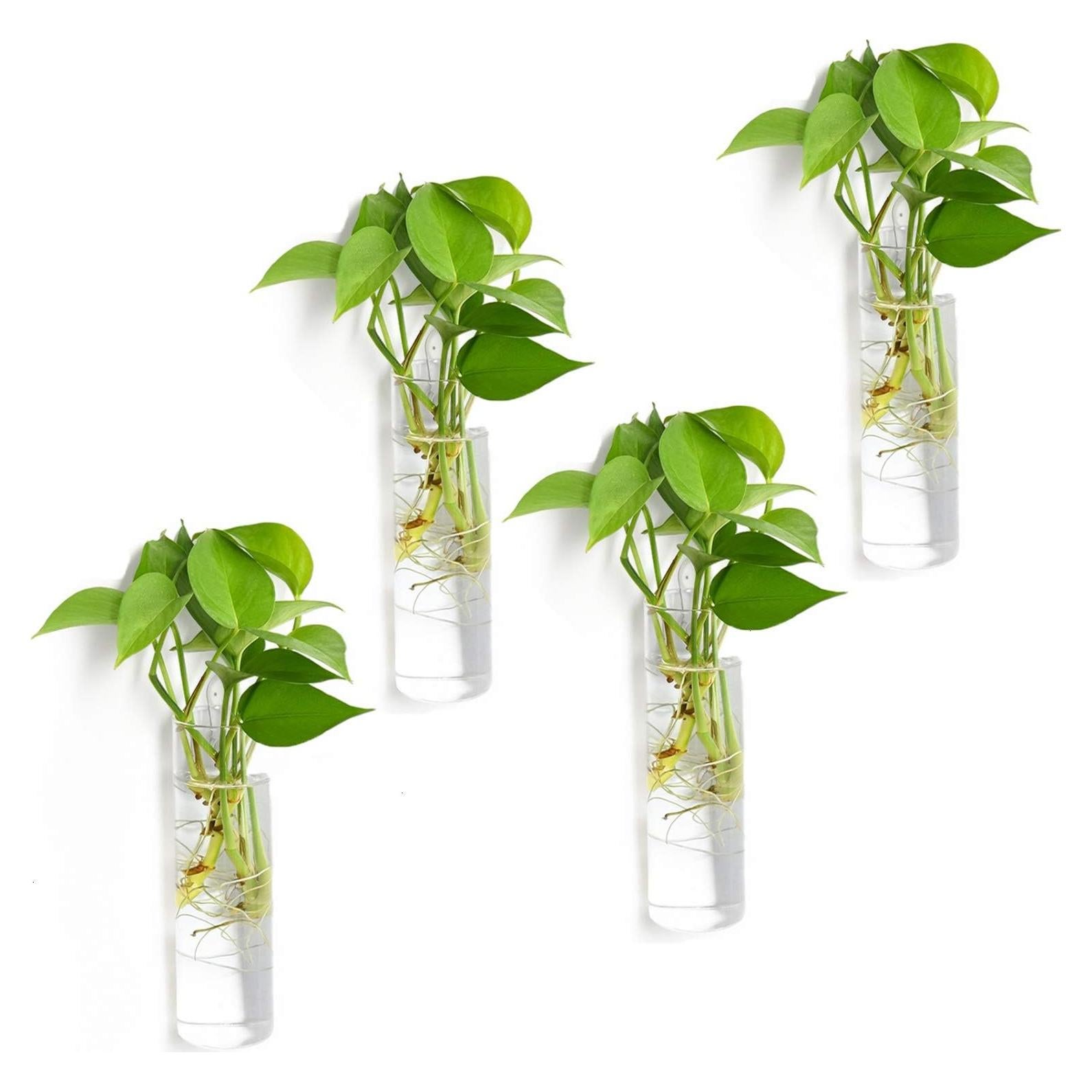 Paquete de 4 Macetas de Vidrio Vumdua 15 cm para Plantas