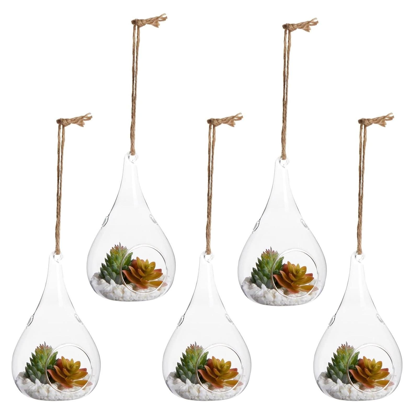 Terrario de vidrio colgante Juvale - 5 piezas 7.6x14 cm