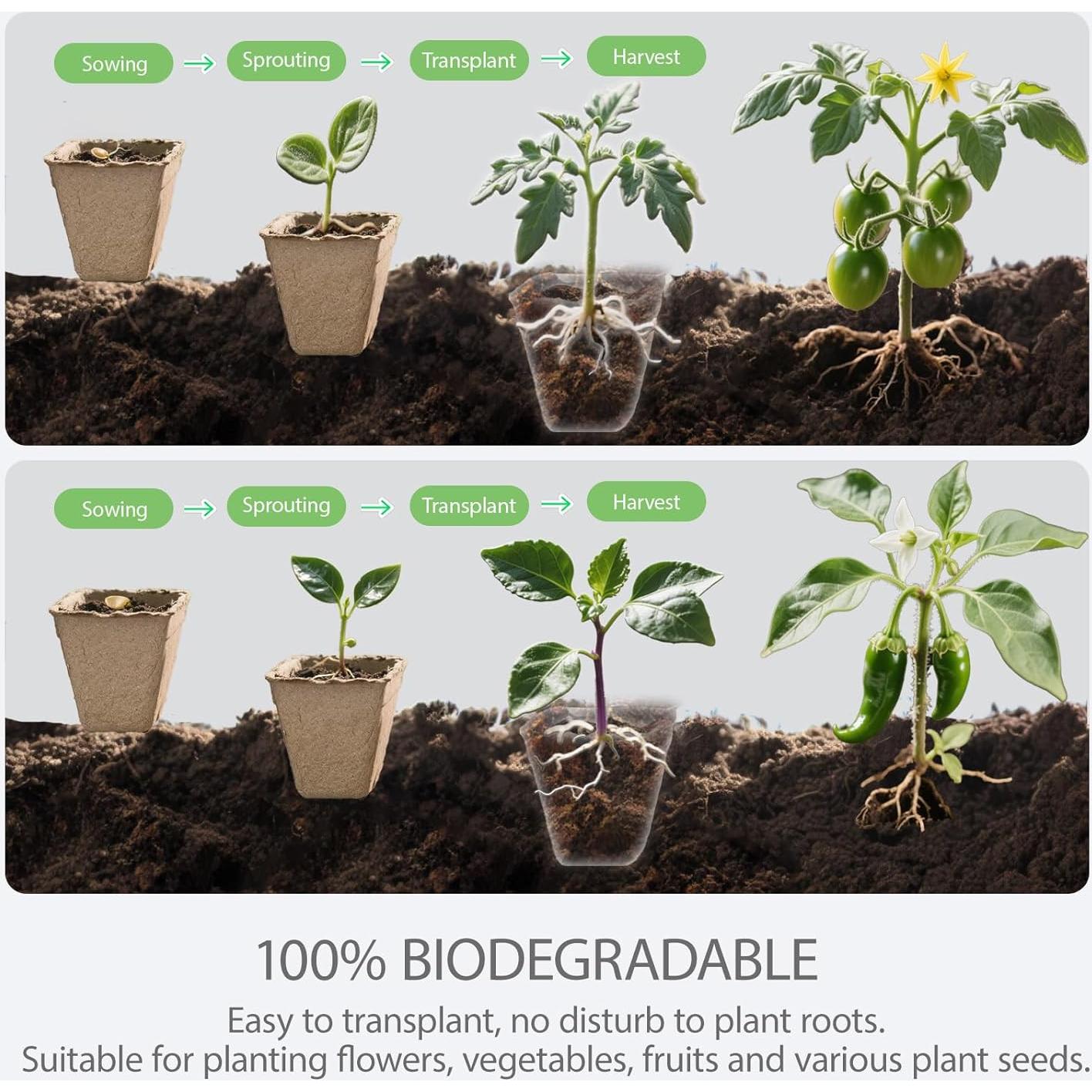 Kit de 10 Bandejas para Iniciar Semillas BEIGEMEI Biodegradables