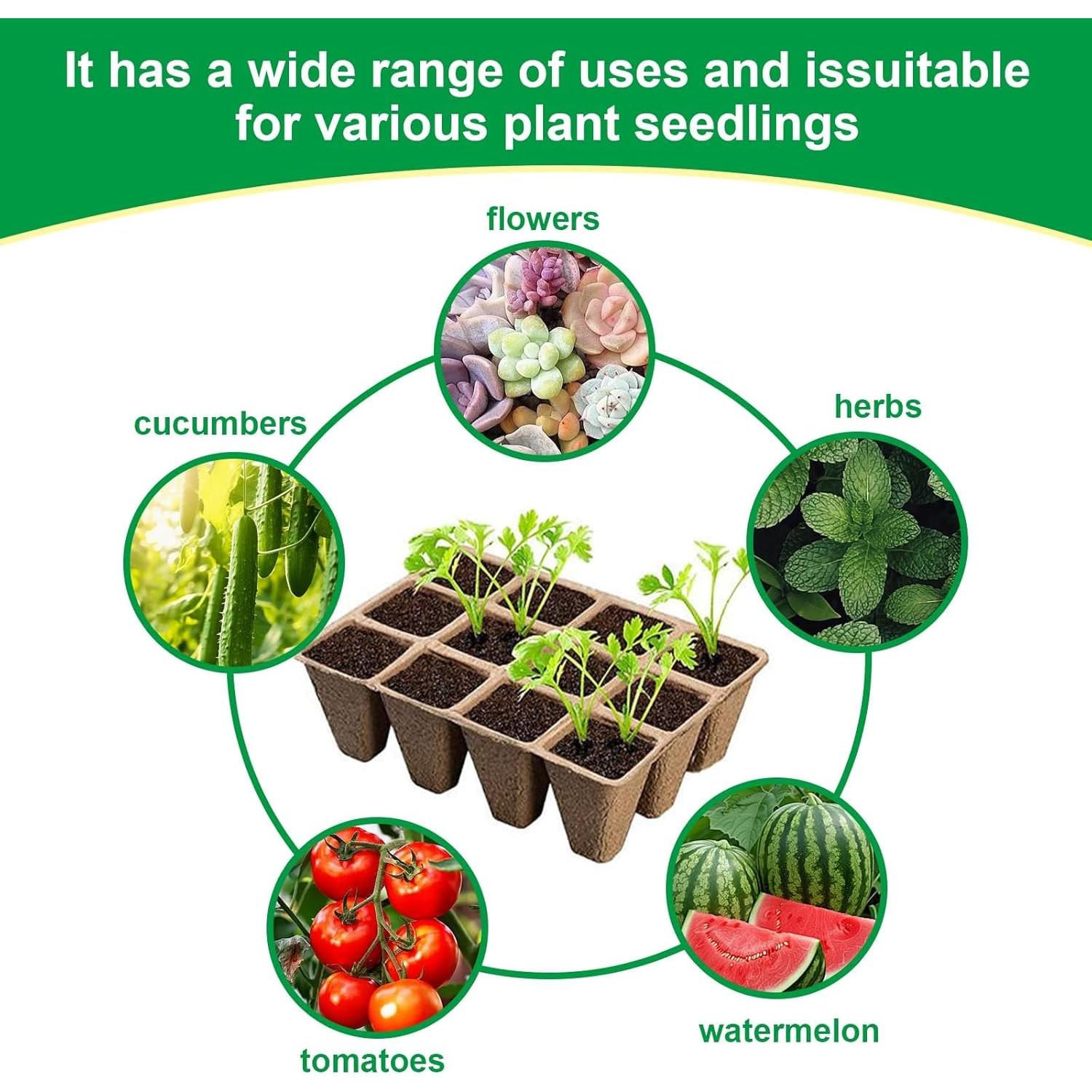 Bandejas Biodegradables para Plántulas YFANITI - 60 Celdas