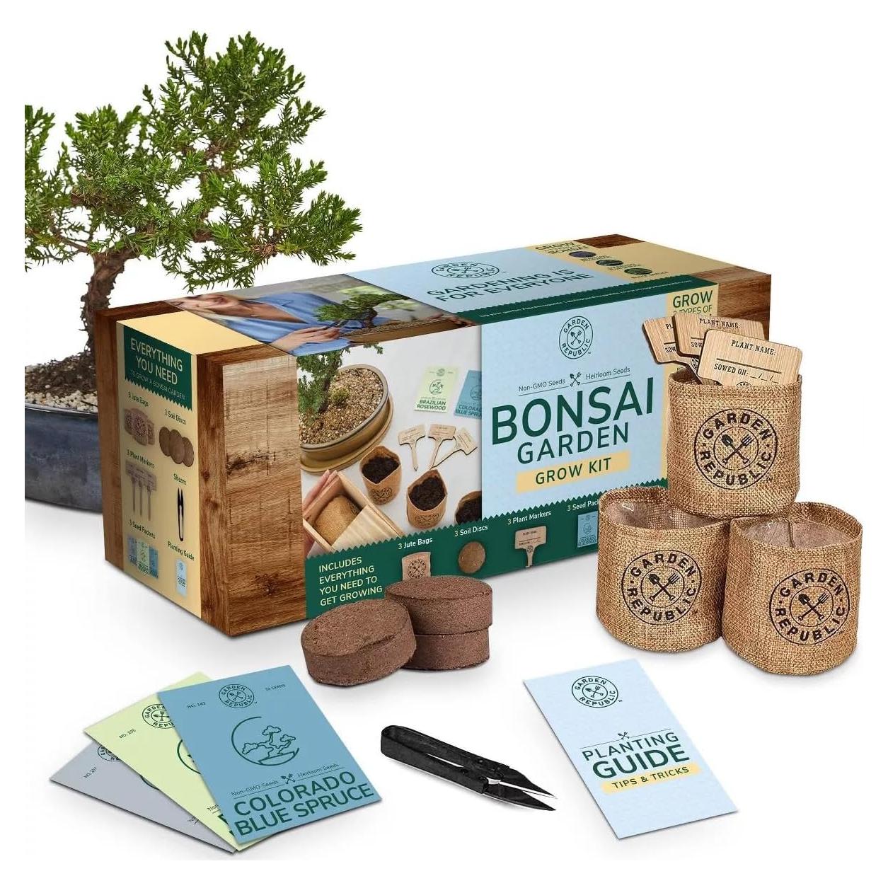 Kit de Bonsai Mediano Garden Republic - Cultiva 3 Mini Bonsais