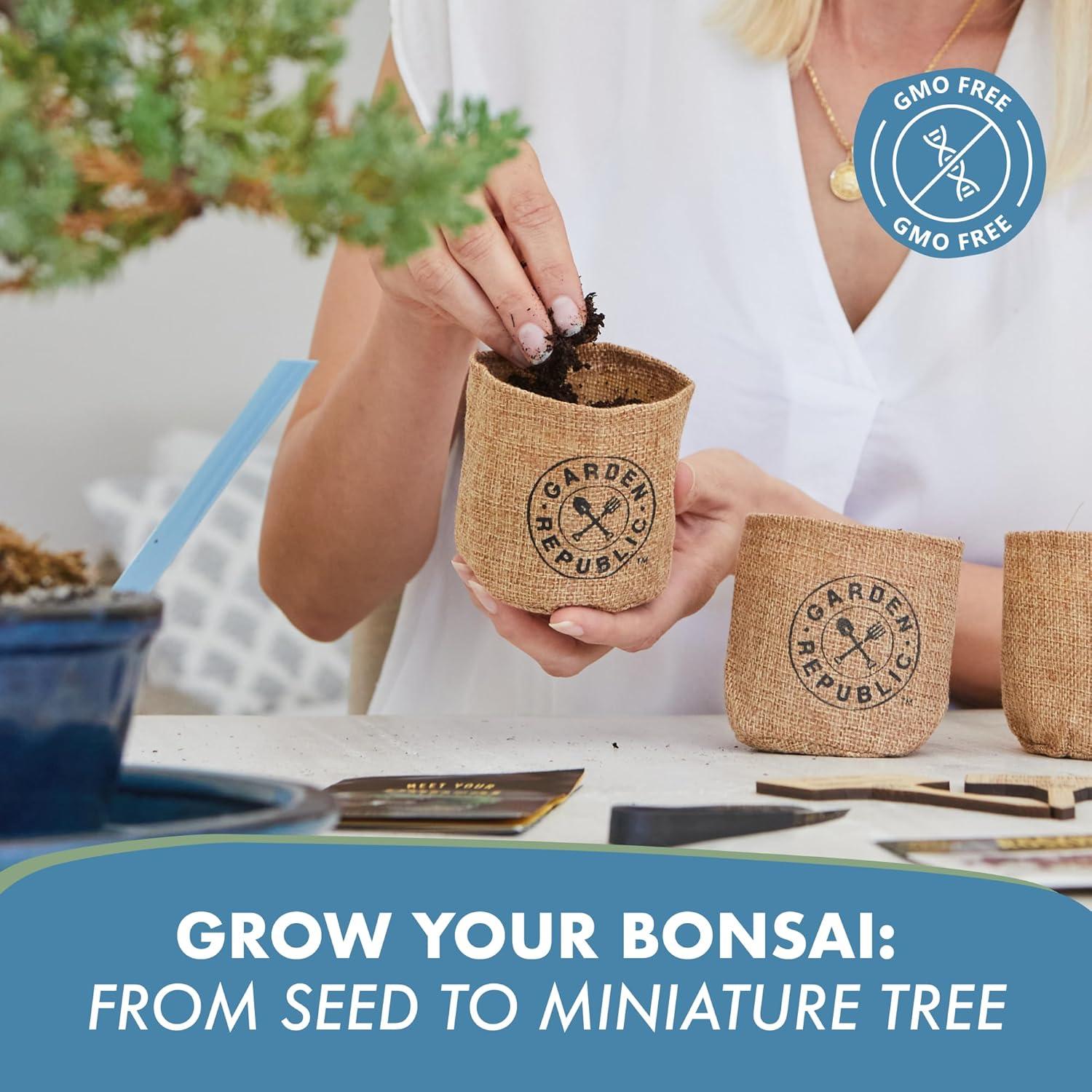 Kit de Bonsai Mediano Garden Republic - Cultiva 3 Mini Bonsais