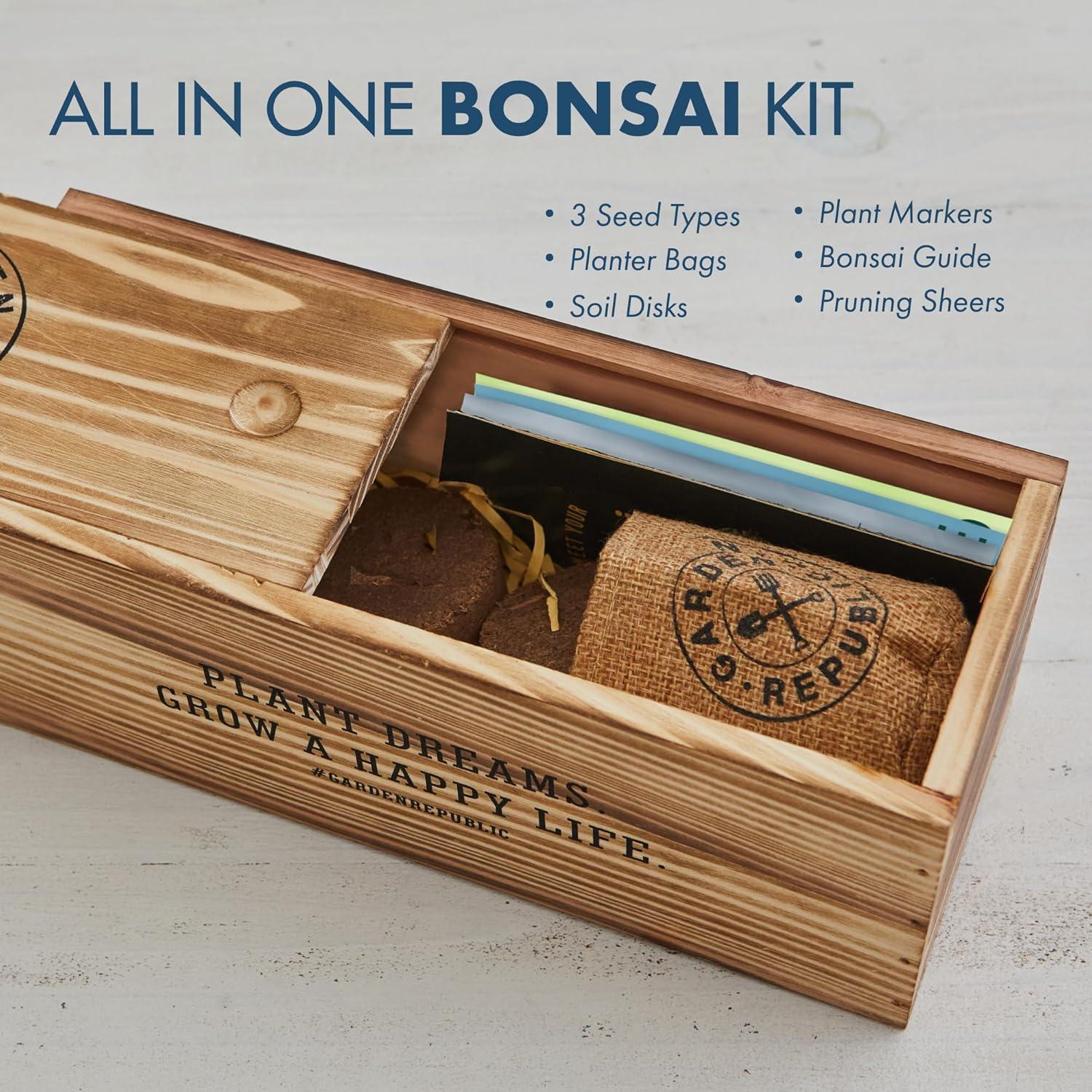 Kit de Bonsai Mediano Garden Republic - Cultiva 3 Mini Bonsais