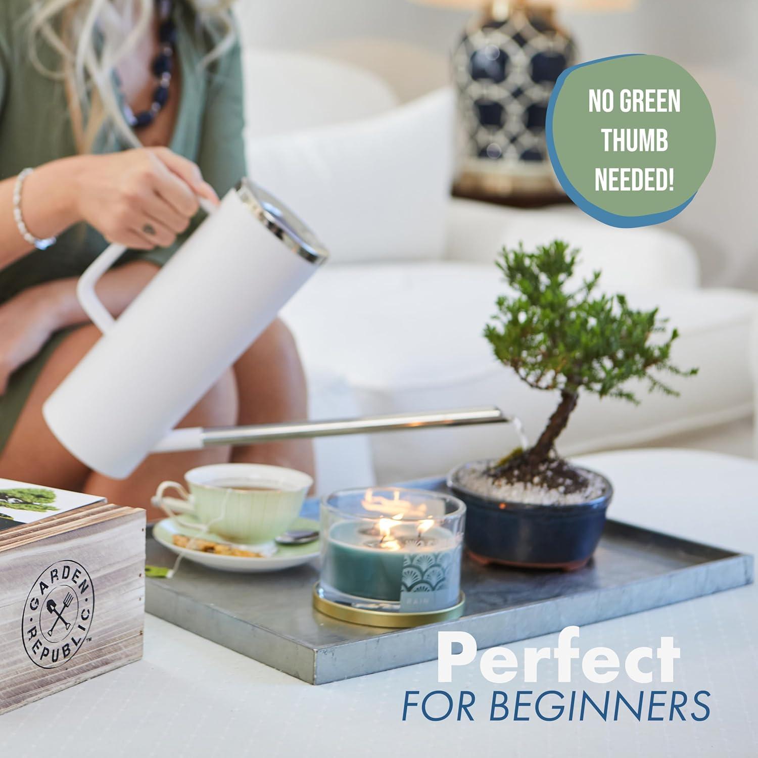 Kit de Bonsai Mediano Garden Republic - Cultiva 3 Mini Bonsais