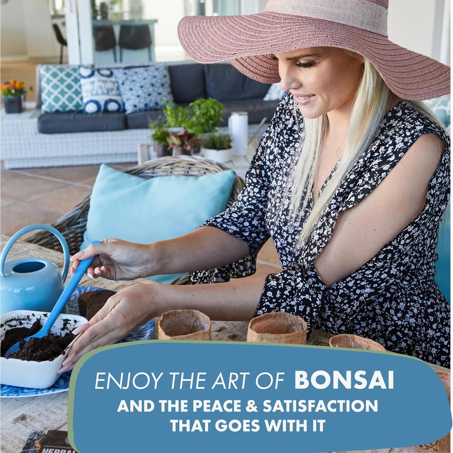 Kit de Bonsai Mediano Garden Republic - Cultiva 3 Mini Bonsais