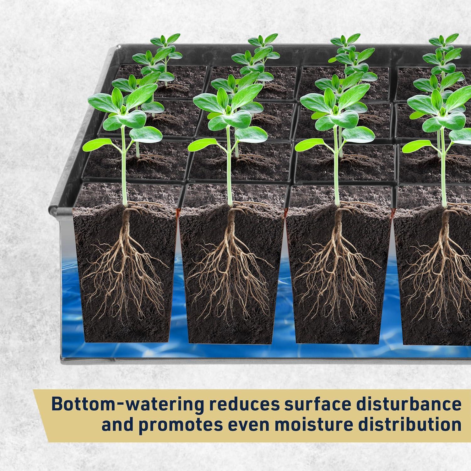 Bandeja de Germinación de Semillas Kings County Tools 24 Macetas