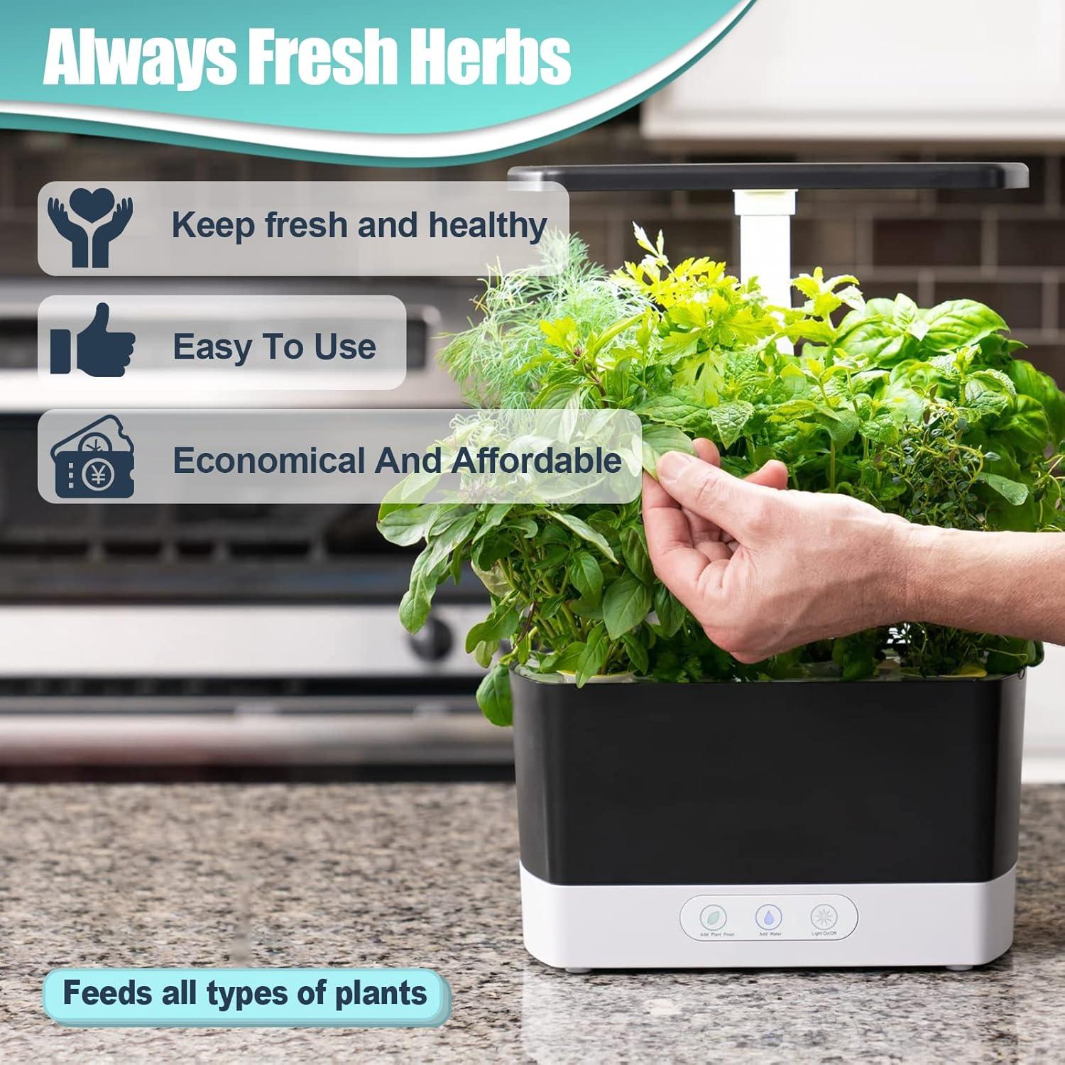 Kit de 64 Piezas Hidropónicas Haligo - Cultivo de Semillas