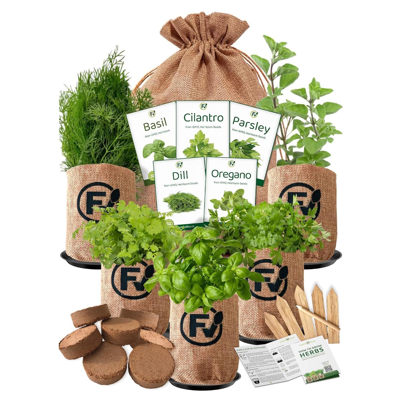 Kit de Inicio para Hierbas Medicinales FarmerValley - 5 Semillas