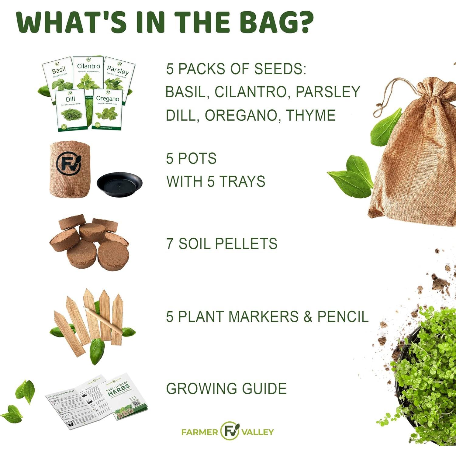 Kit de Inicio para Hierbas Medicinales FarmerValley - 5 Semillas