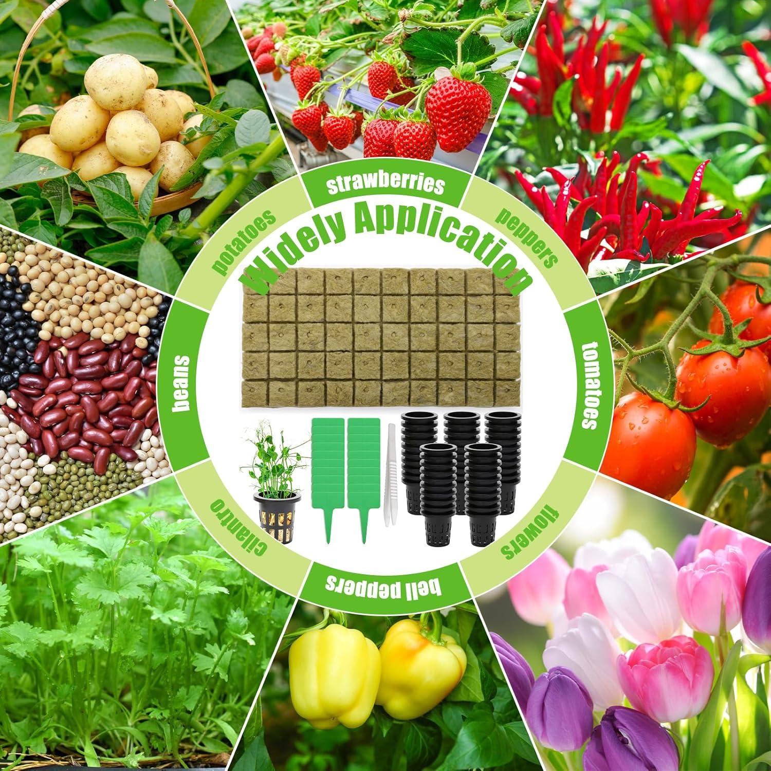 Set de Cubos de Plantación de Lana de Roca Windspeed 120 Pcs