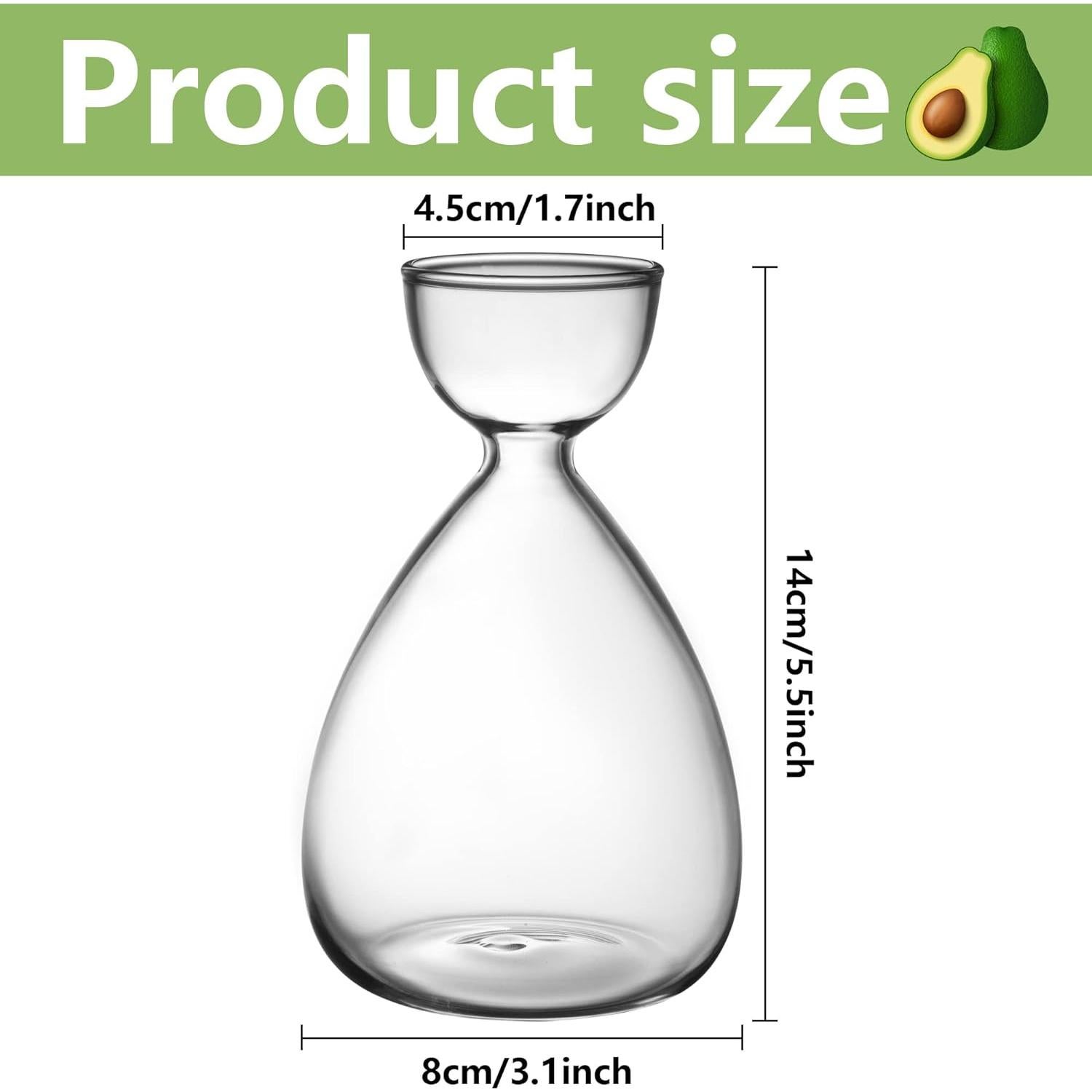 Kit de Jarrones de Vidrio para Semillas de Aguacate RunNico - 2 Piezas