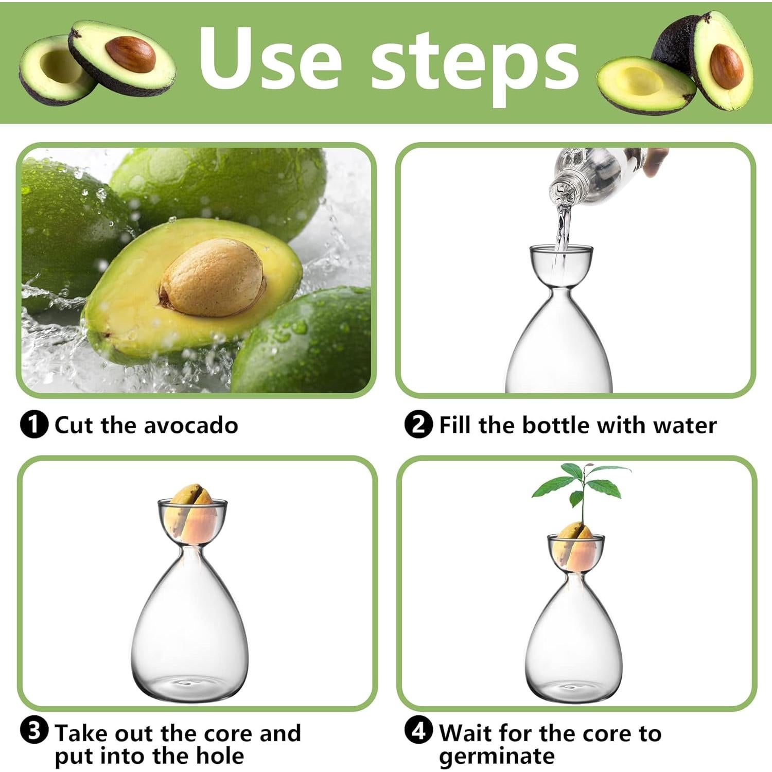 Kit de Jarrones de Vidrio para Semillas de Aguacate RunNico - 2 Piezas