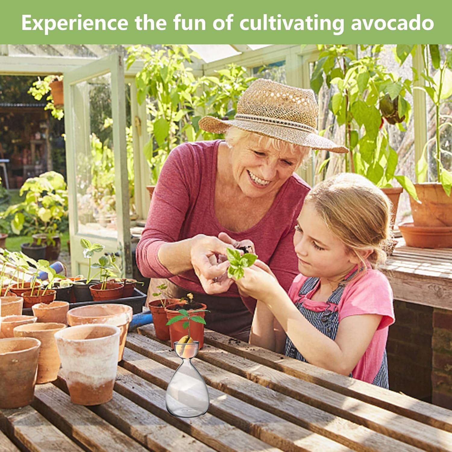 Kit de Jarrones de Vidrio para Semillas de Aguacate RunNico - 2 Piezas