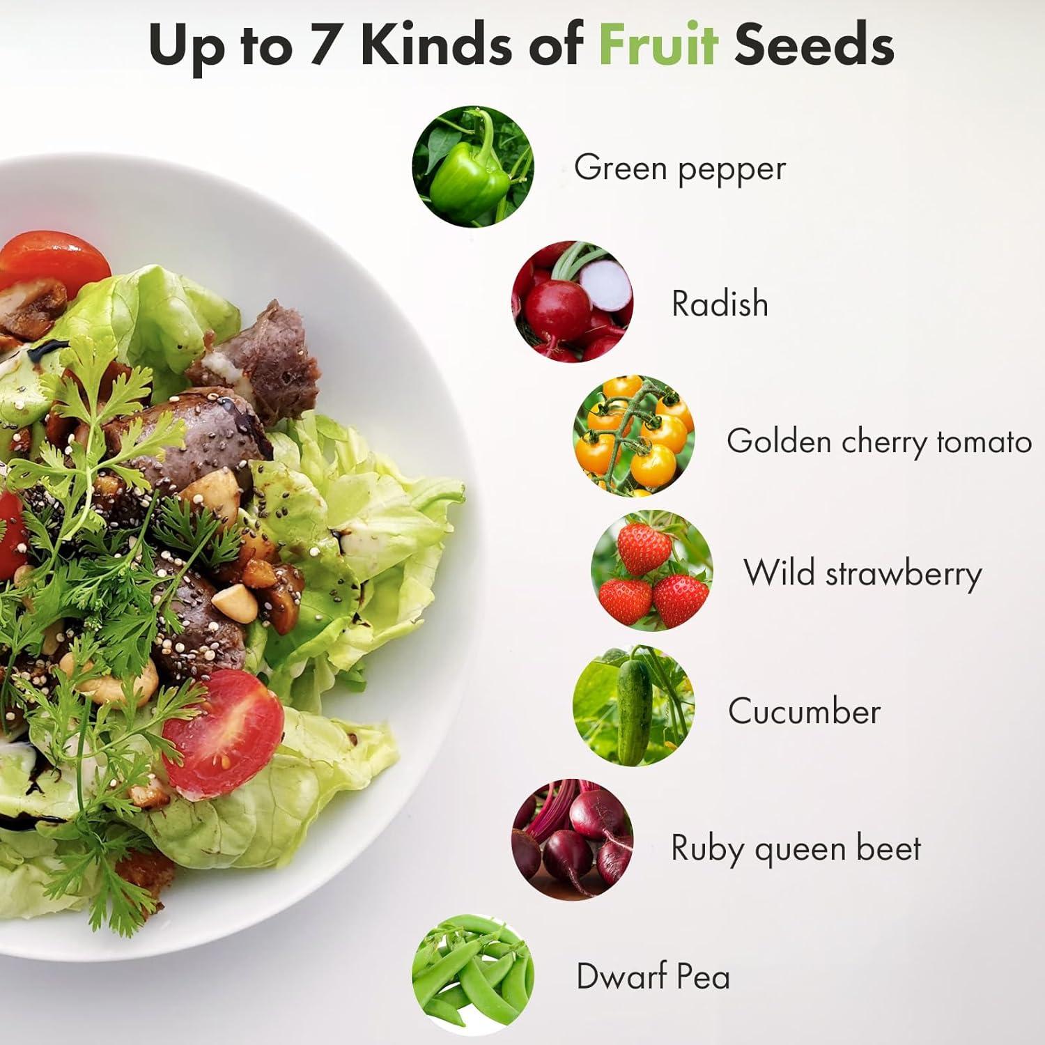 Kit de Válvulas de Semillas Hidropónicas LYKOCLEAN - 7 Variedades