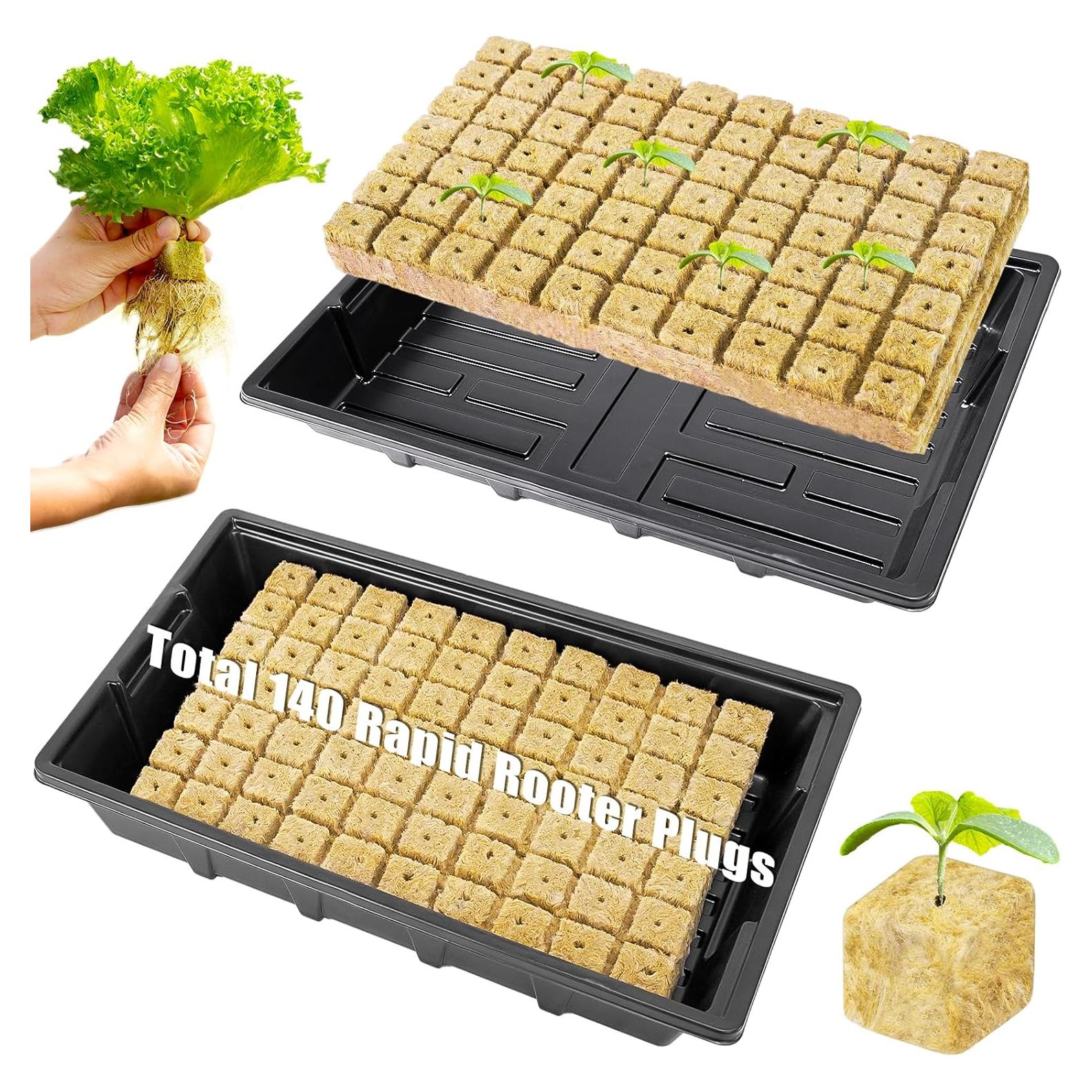 Kit de Cubos de Lana de Roca 1" HolyMaji - 140 Tapones y 2 Bandejas