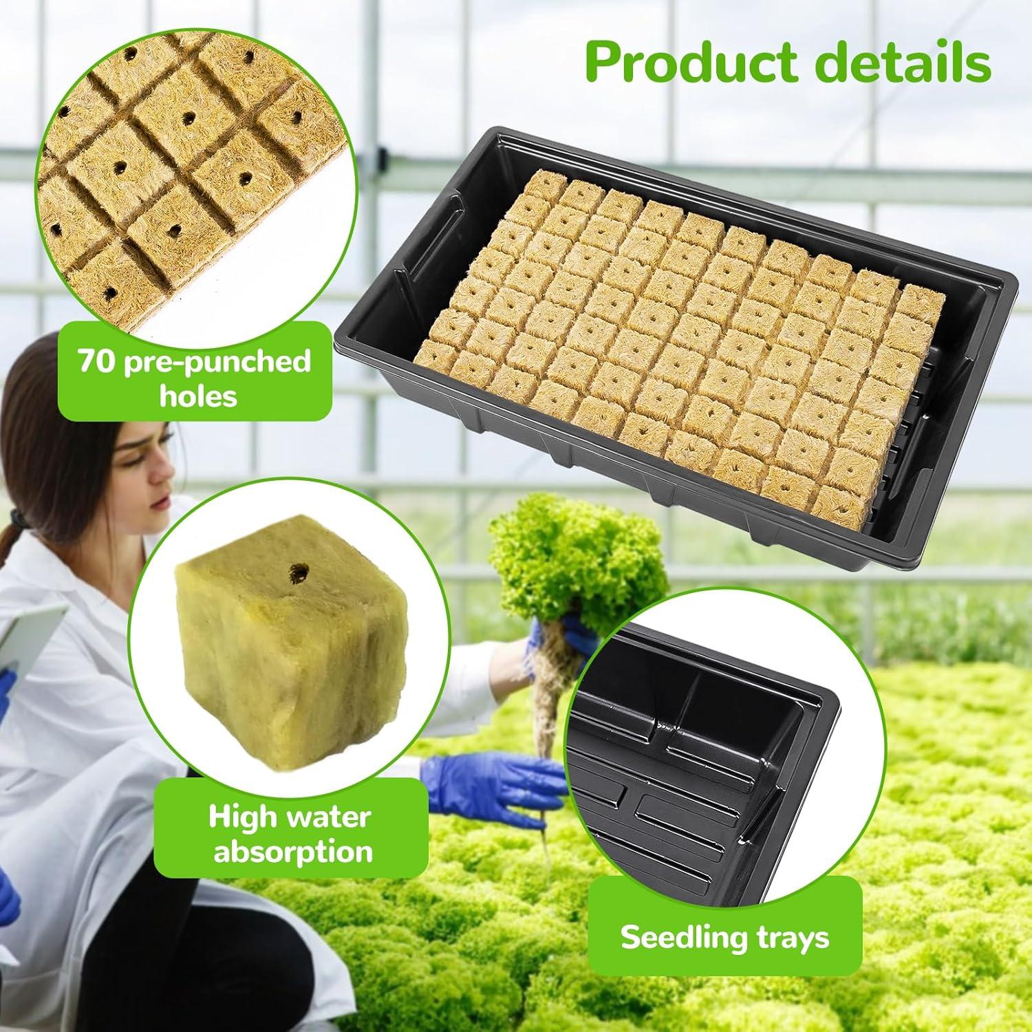 Kit de Cubos de Lana de Roca 1" HolyMaji - 140 Tapones y 2 Bandejas