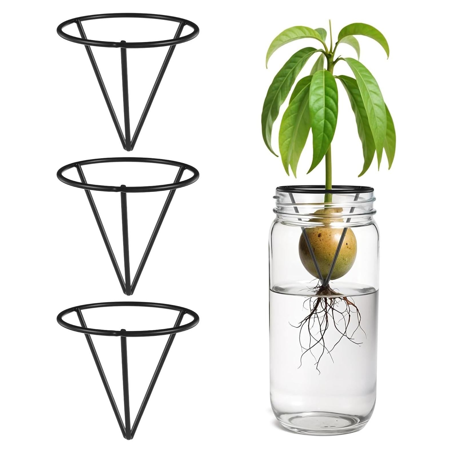 Kit de Crecimiento de Árbol de Aguacate Tyqour - 3 Piezas Soporte Metálico Triangular Negro