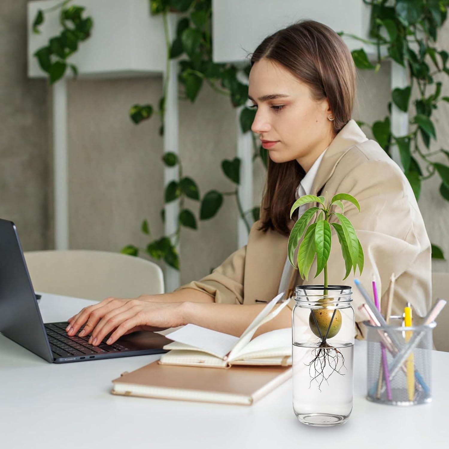 Kit de Crecimiento de Árbol de Aguacate Tyqour - 3 Piezas Soporte Metálico Triangular Negro