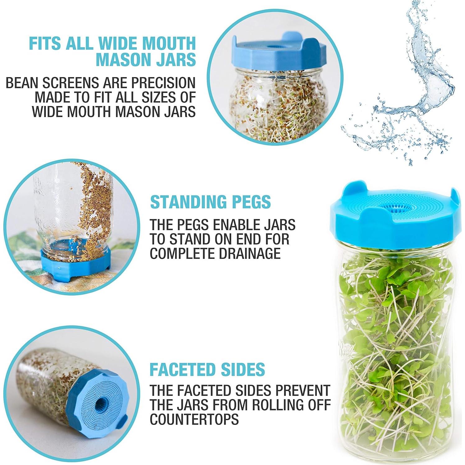 Kit de Germinación Masontops Bean Screen - 2 Tapas y Semillas