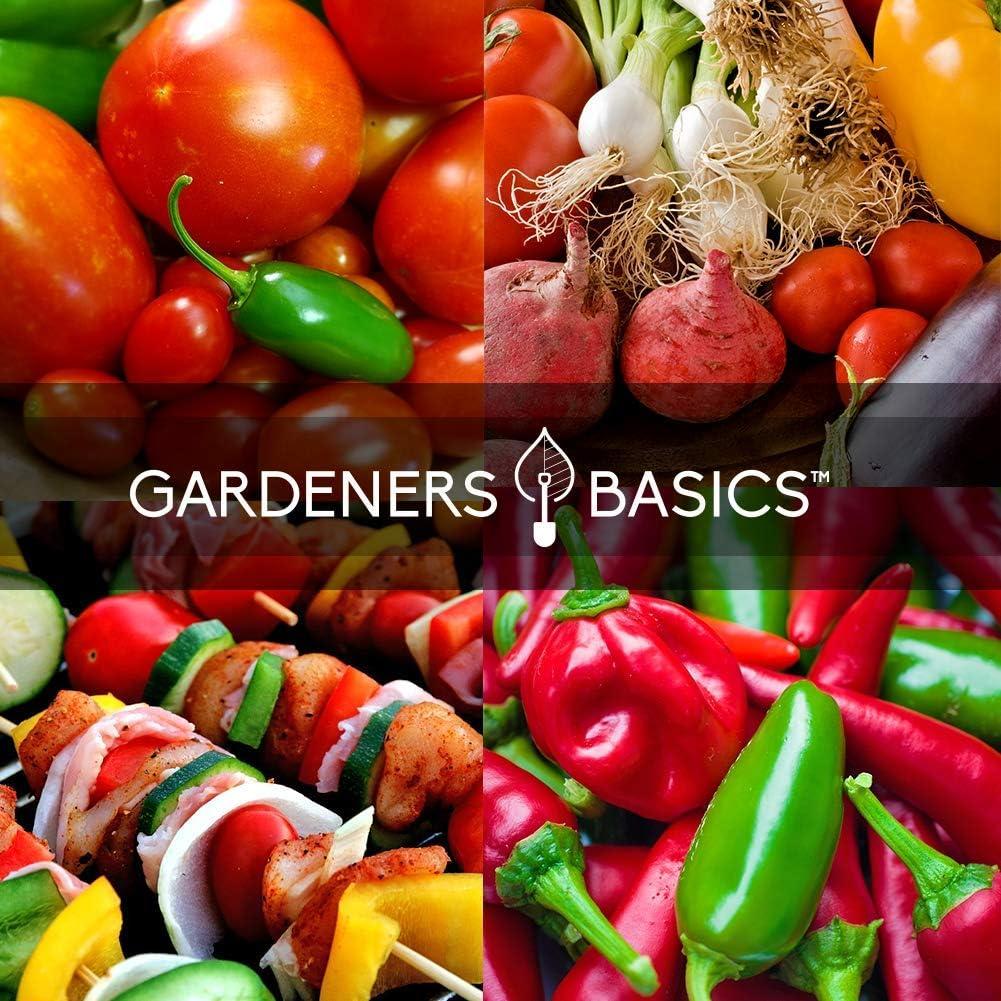 Kit de Semillas para Salsa Picante Gardeners Basics - 8 Variedades