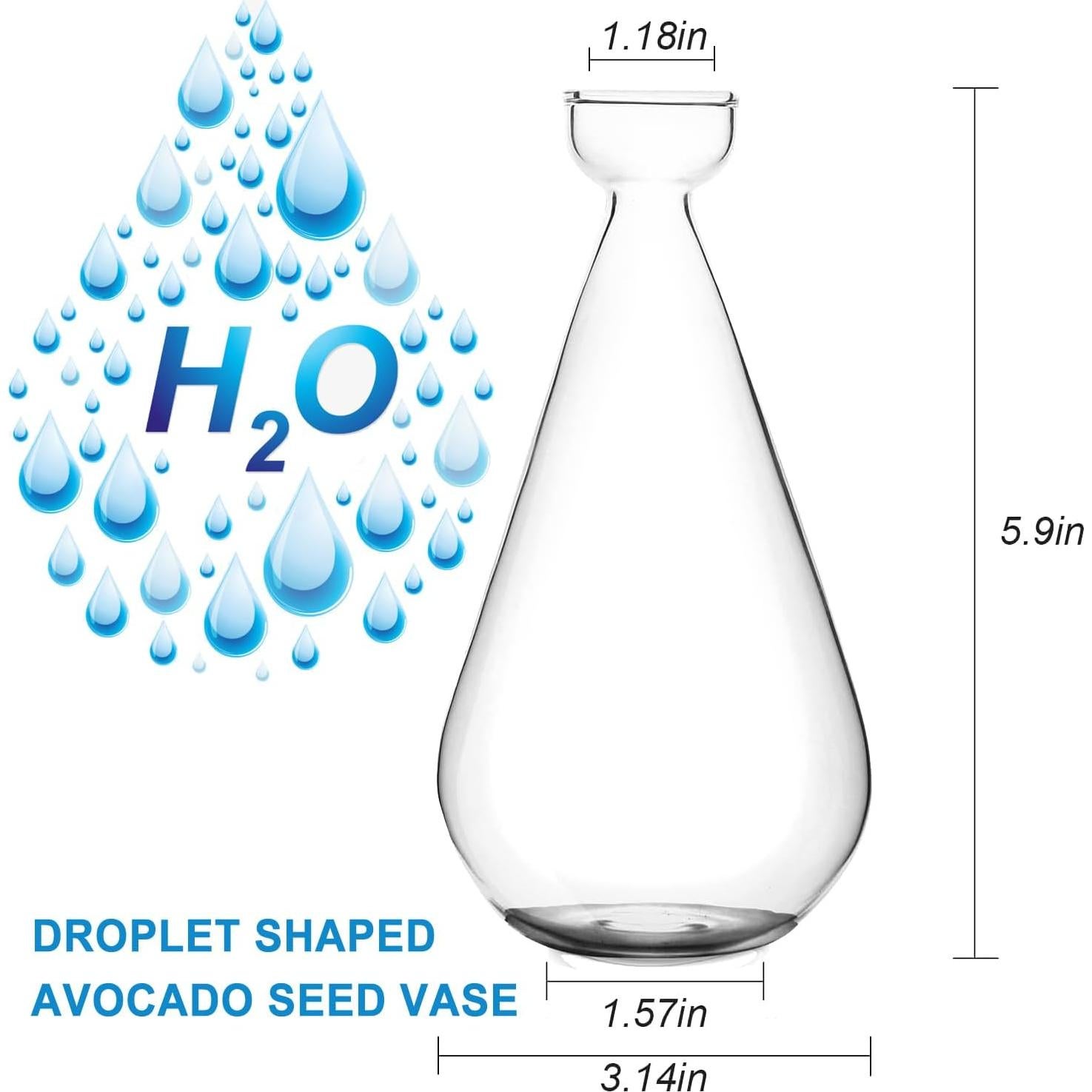 Jarrón de Propagación de Bellota Gartely 8x15 cm Vidrio Claro
