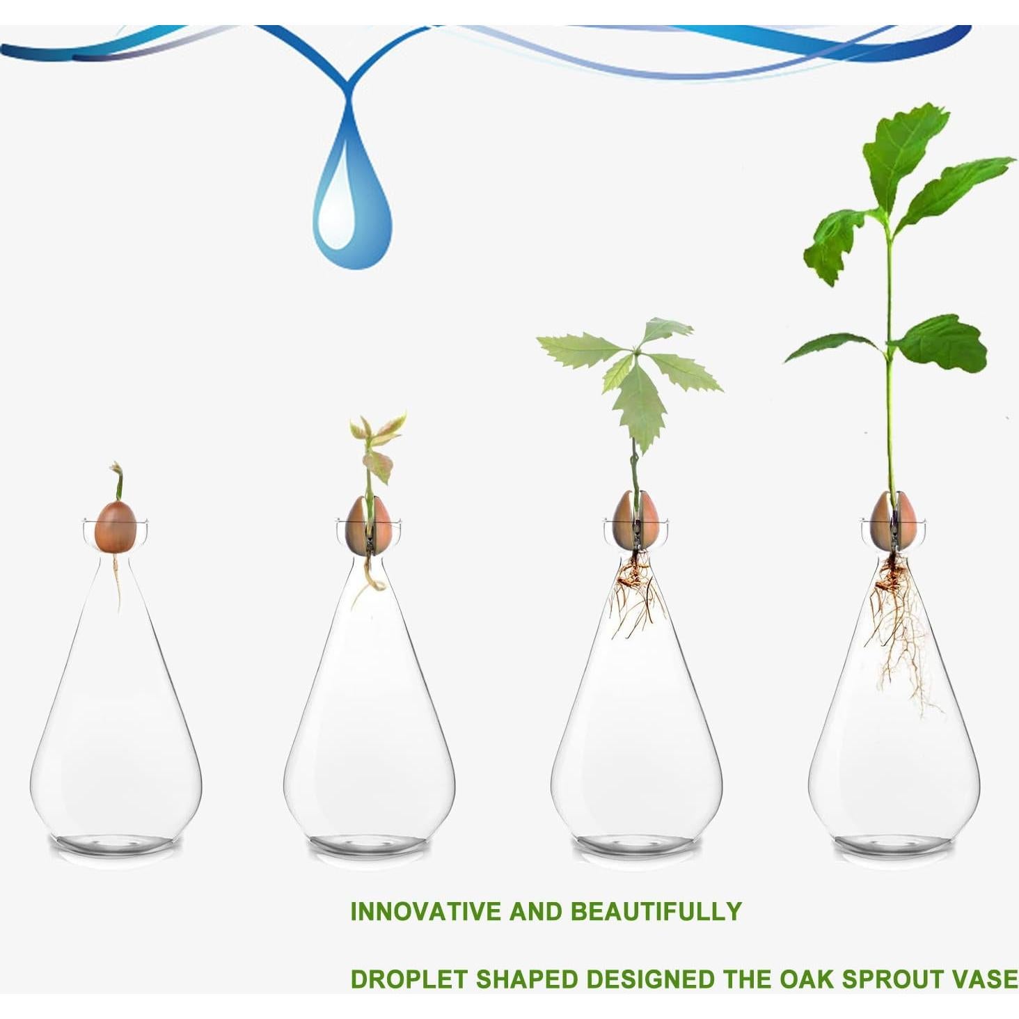 Jarrón de Propagación de Bellota Gartely 8x15 cm Vidrio Claro