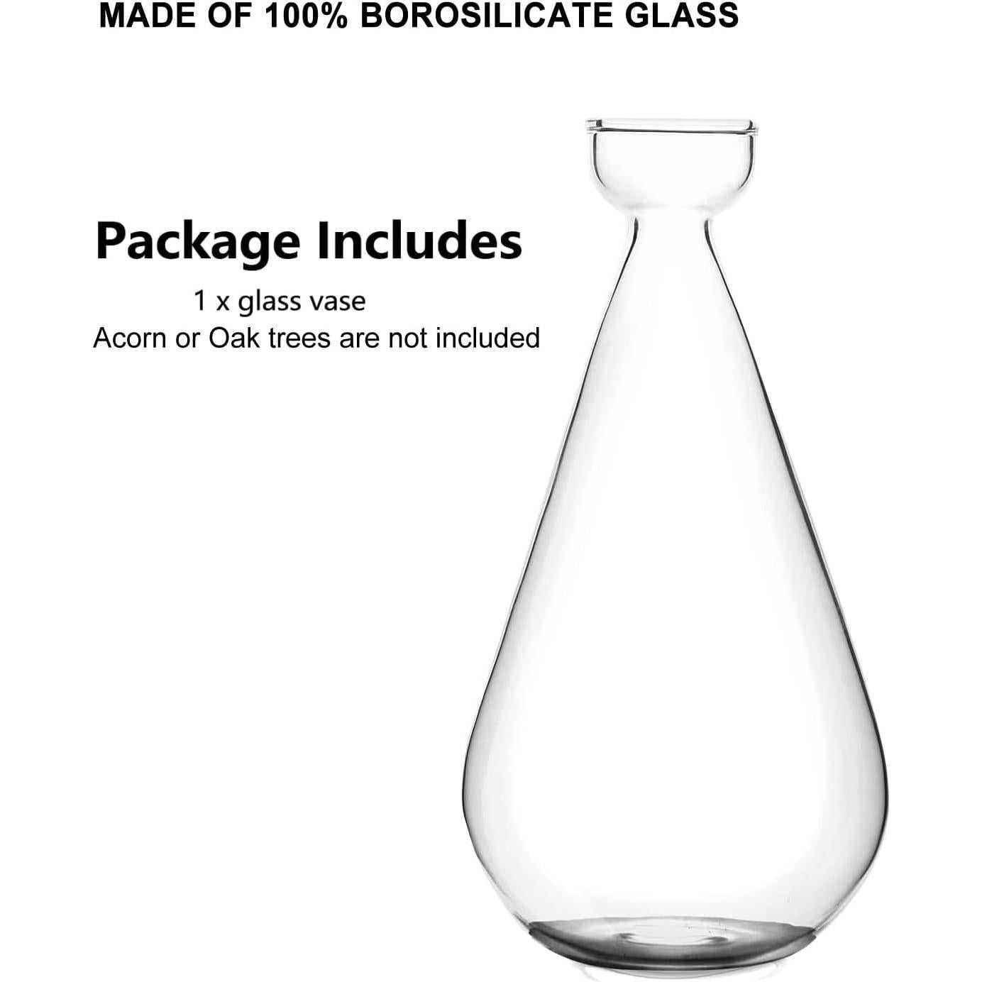 Jarrón de Propagación de Bellota Gartely 8x15 cm Vidrio Claro