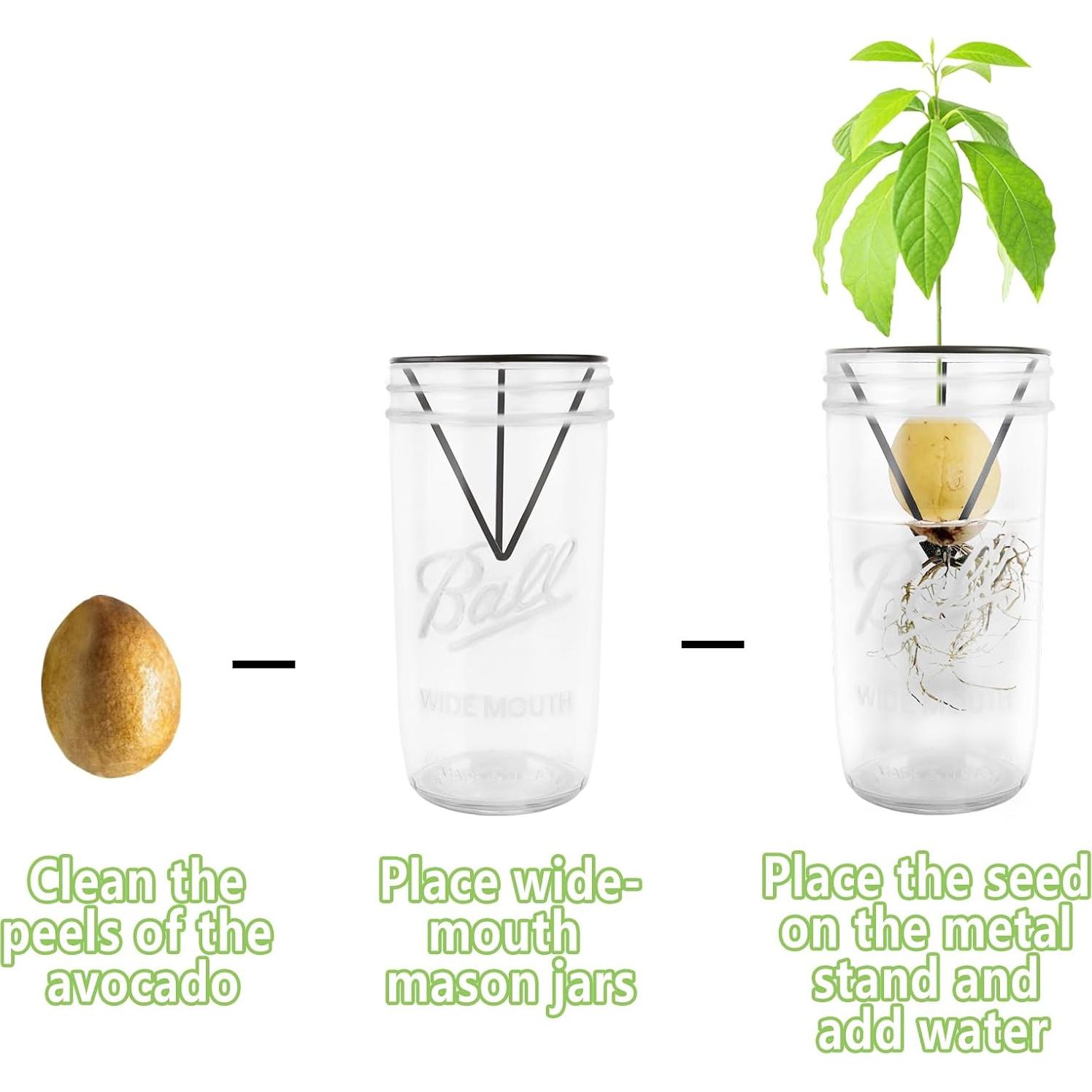 Soporte para Semillas de Aguacate Plus Trad - 4 Piezas para Tarro Mason