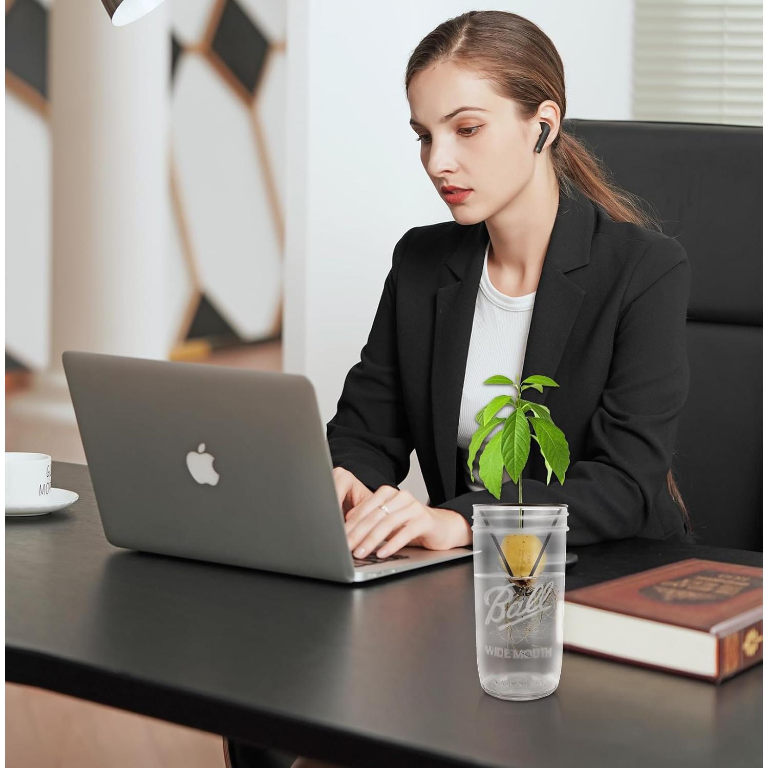 Soporte para Semillas de Aguacate Plus Trad - 4 Piezas para Tarro Mason