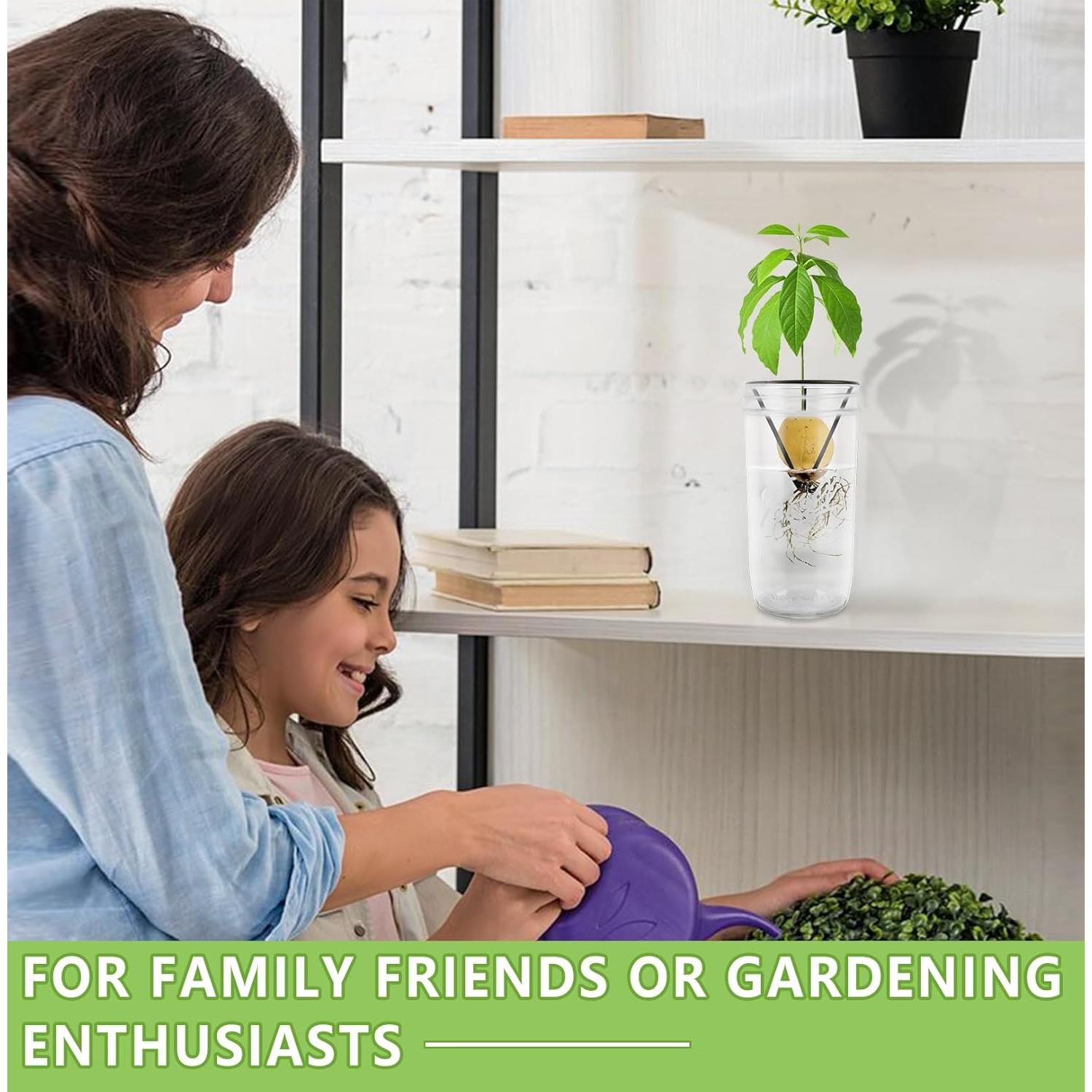 Soporte para Semillas de Aguacate Plus Trad - 4 Piezas para Tarro Mason