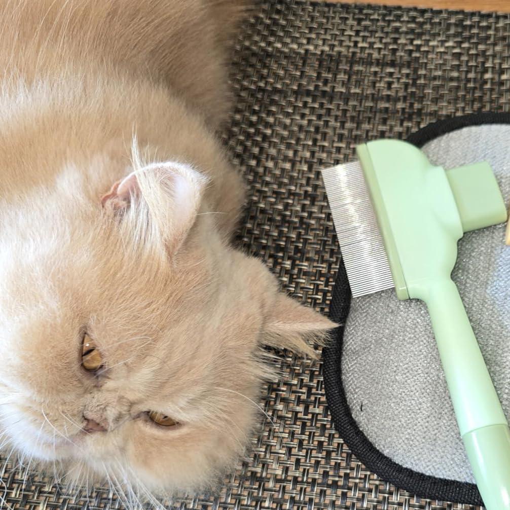 Peine y Guantes de Limpieza para Mascotas FLFNB 1PCS+1PCS