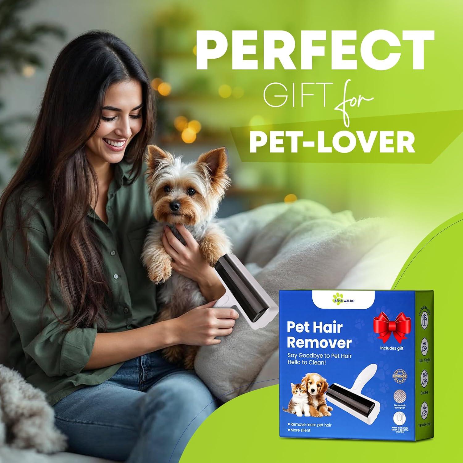 Removedor de Pelo de Mascotas Bothwinner LR0001 Ecológico 198g