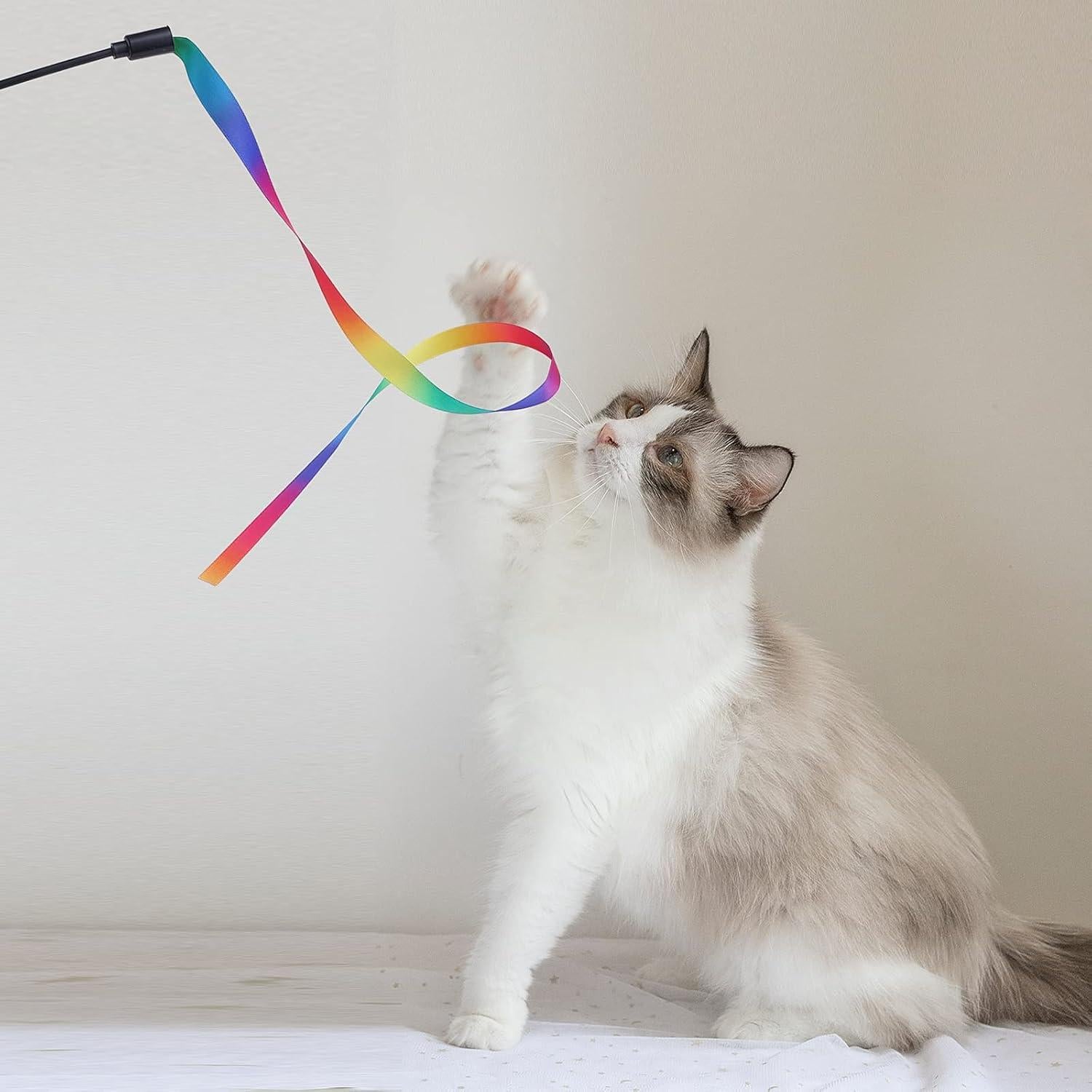 Varita Interactiva para Gatos Molain - 5 Juegos de Cinta Colorida
