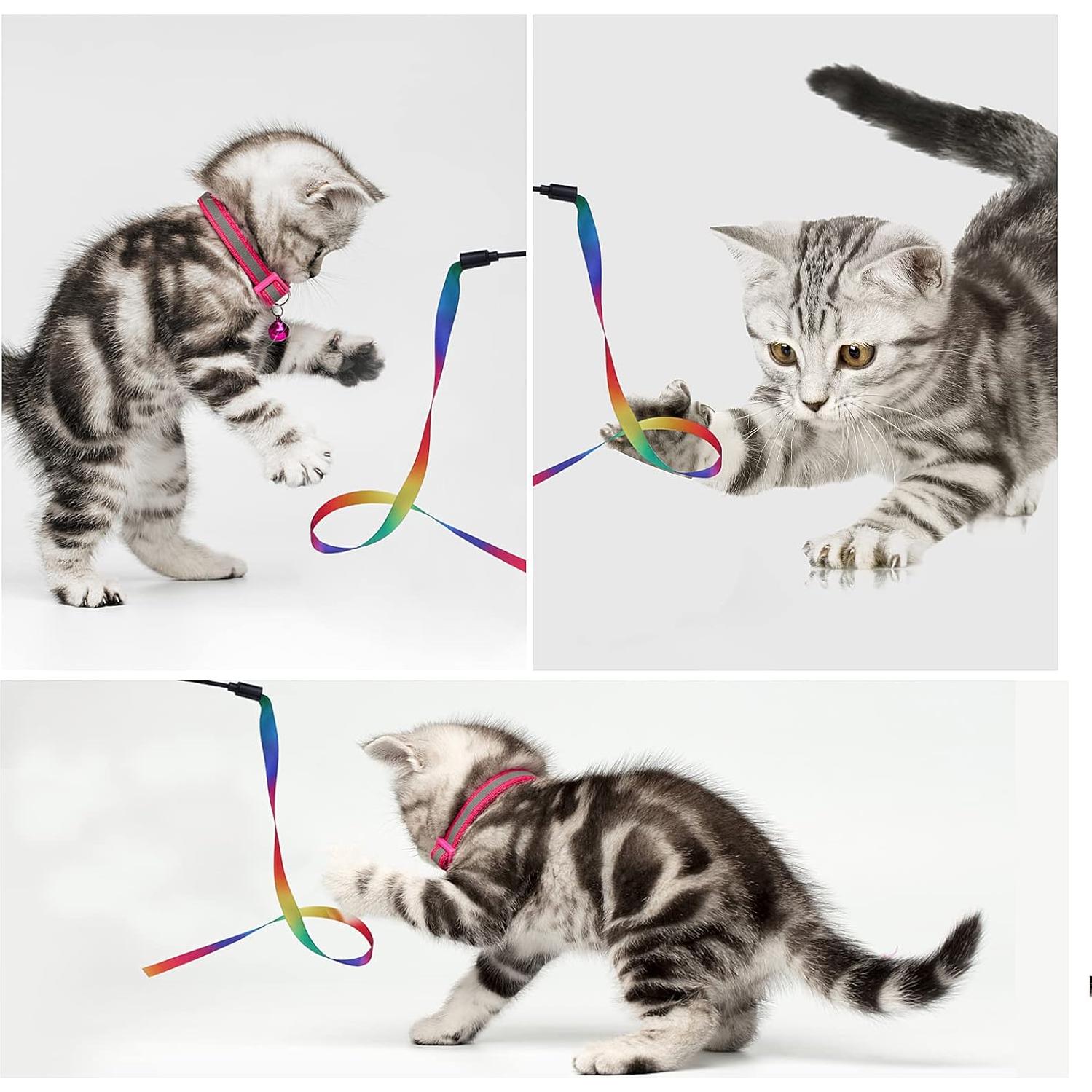 Varita Interactiva para Gatos Molain - 5 Juegos de Cinta Colorida