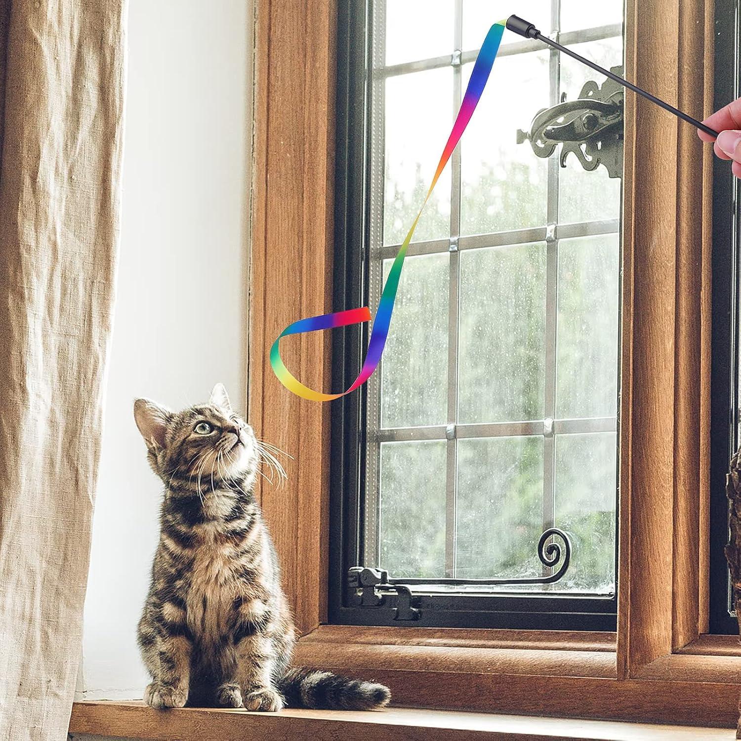 Varita Interactiva para Gatos Molain - 5 Juegos de Cinta Colorida