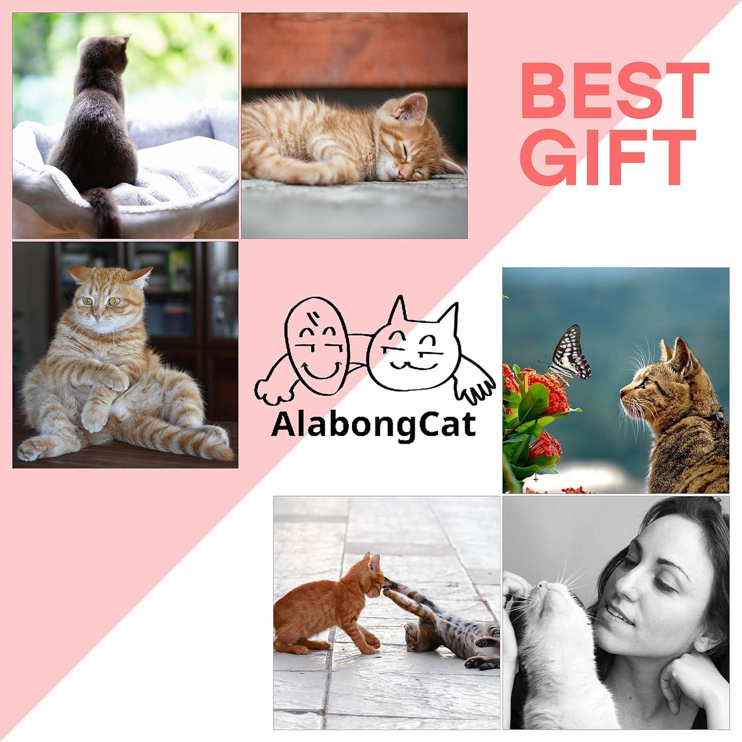 Set de Juguetes Interactivos para Gatos AlabongCat con Hierba Gatera