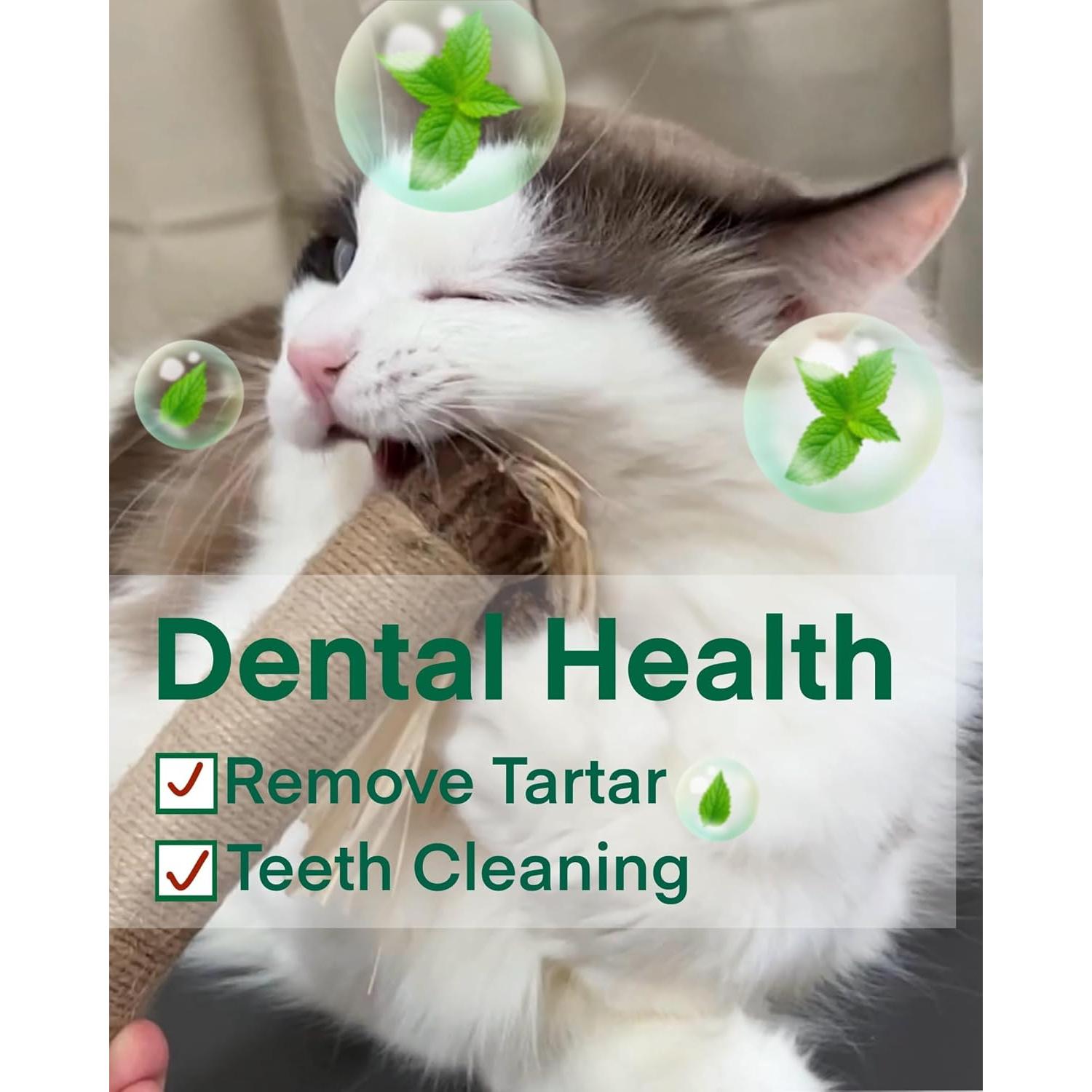 Palos de Silvervine Fokauiwo 38cm - Juguetes Dentales para Gatos