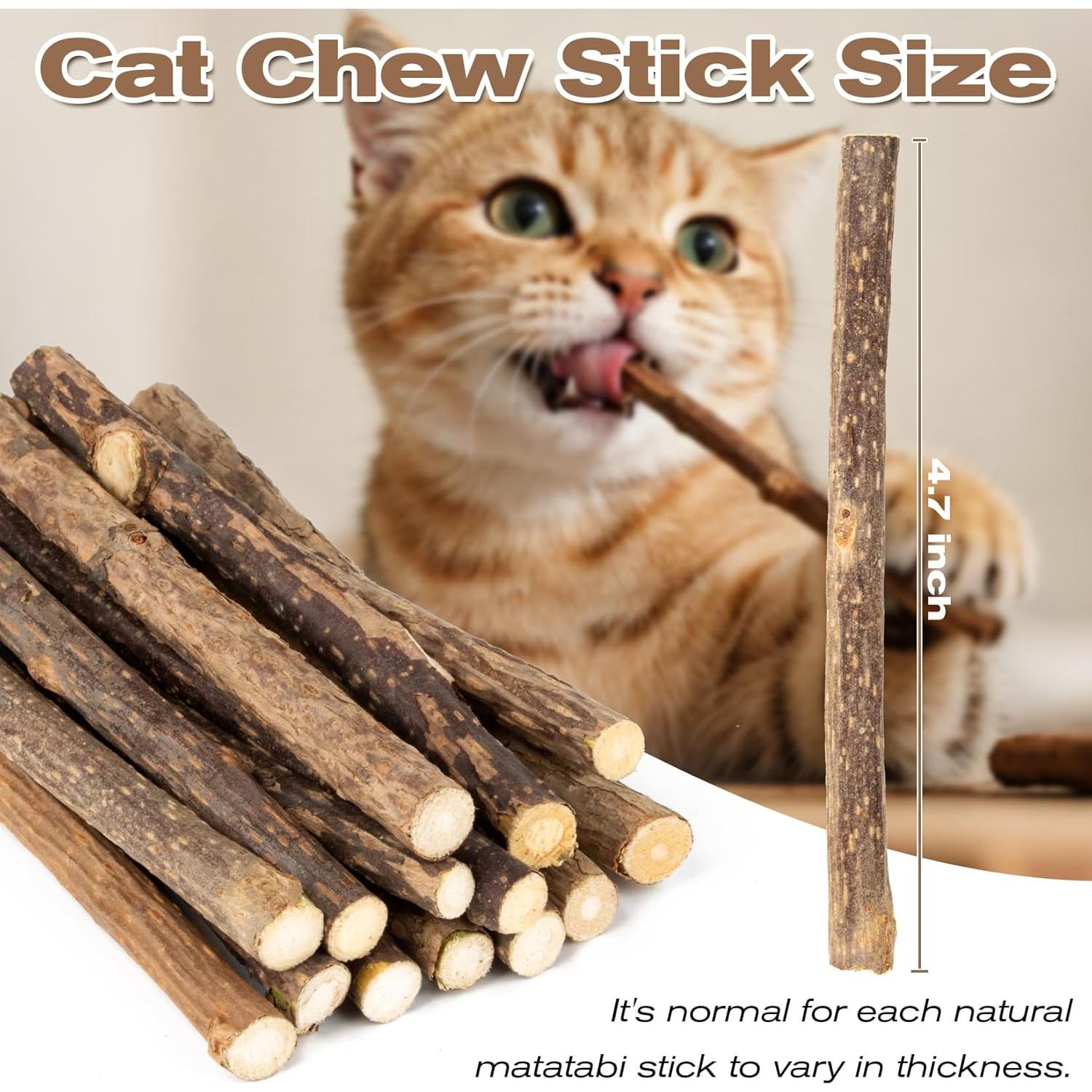 CARGEN Palos de Silvervine para Gatos - 12 Unidades, Cuidado Dental